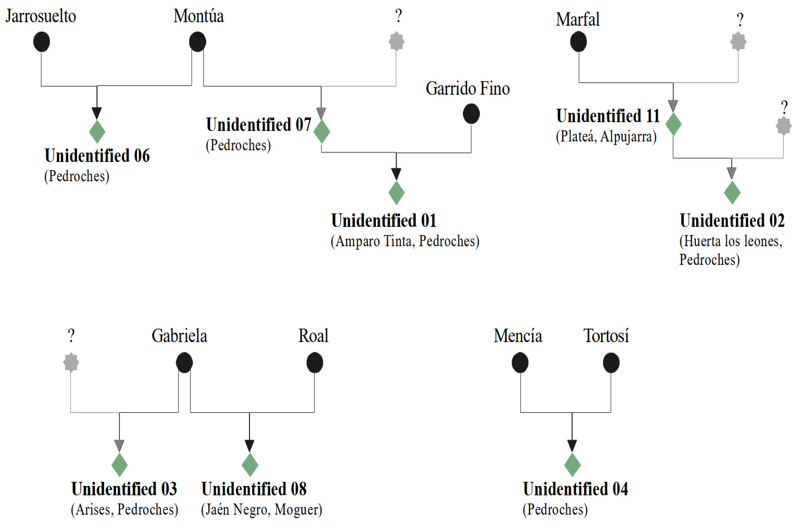 Horticulturae 09 00759 g003