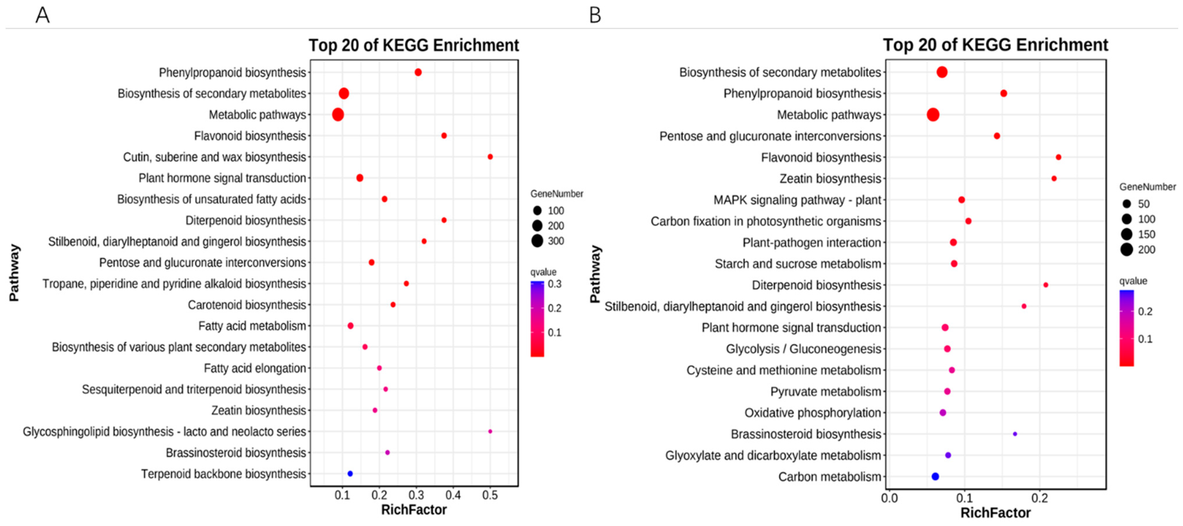 Horticulturae 09 00762 g004