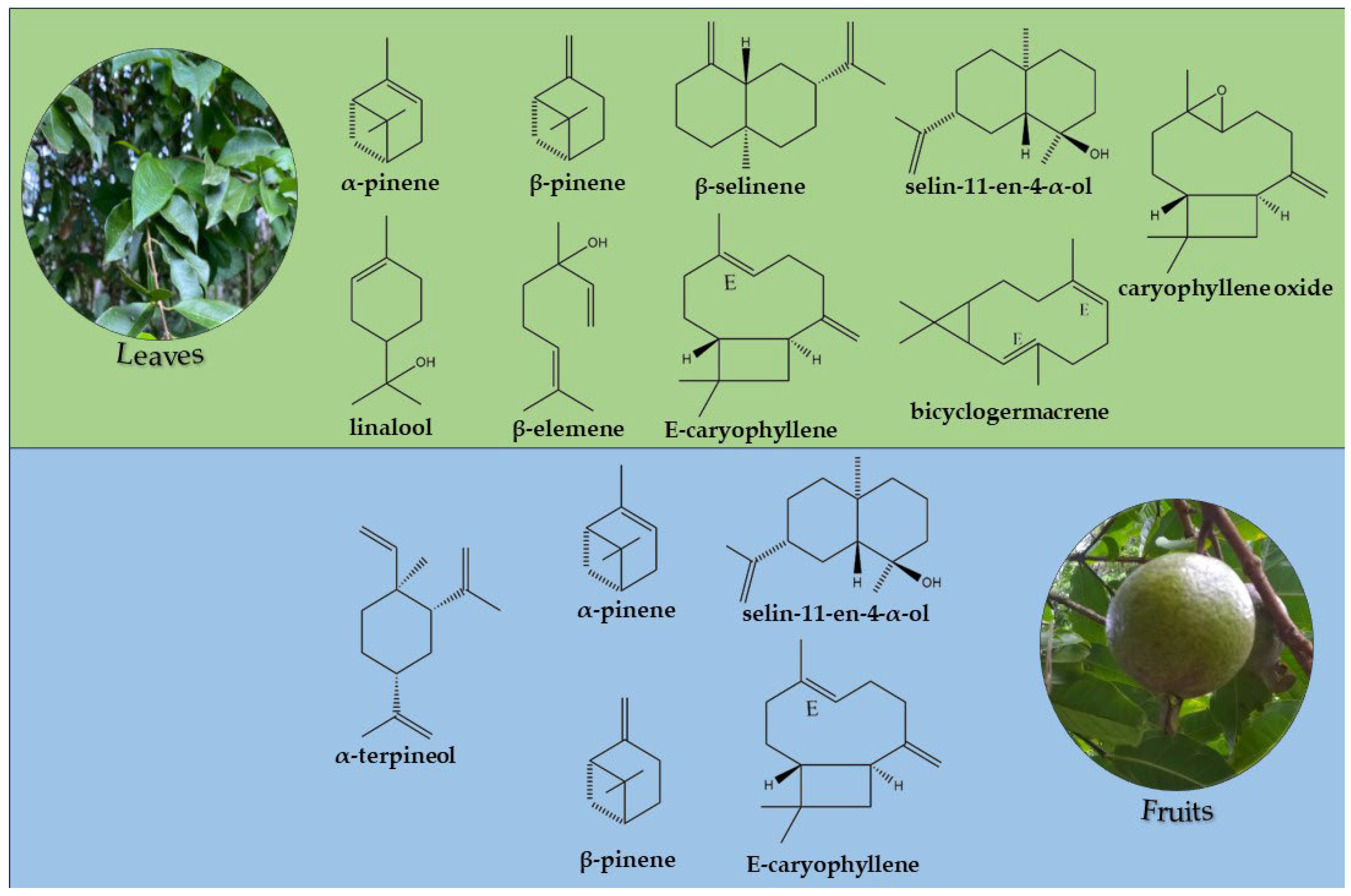 Horticulturae 09 00768 g002