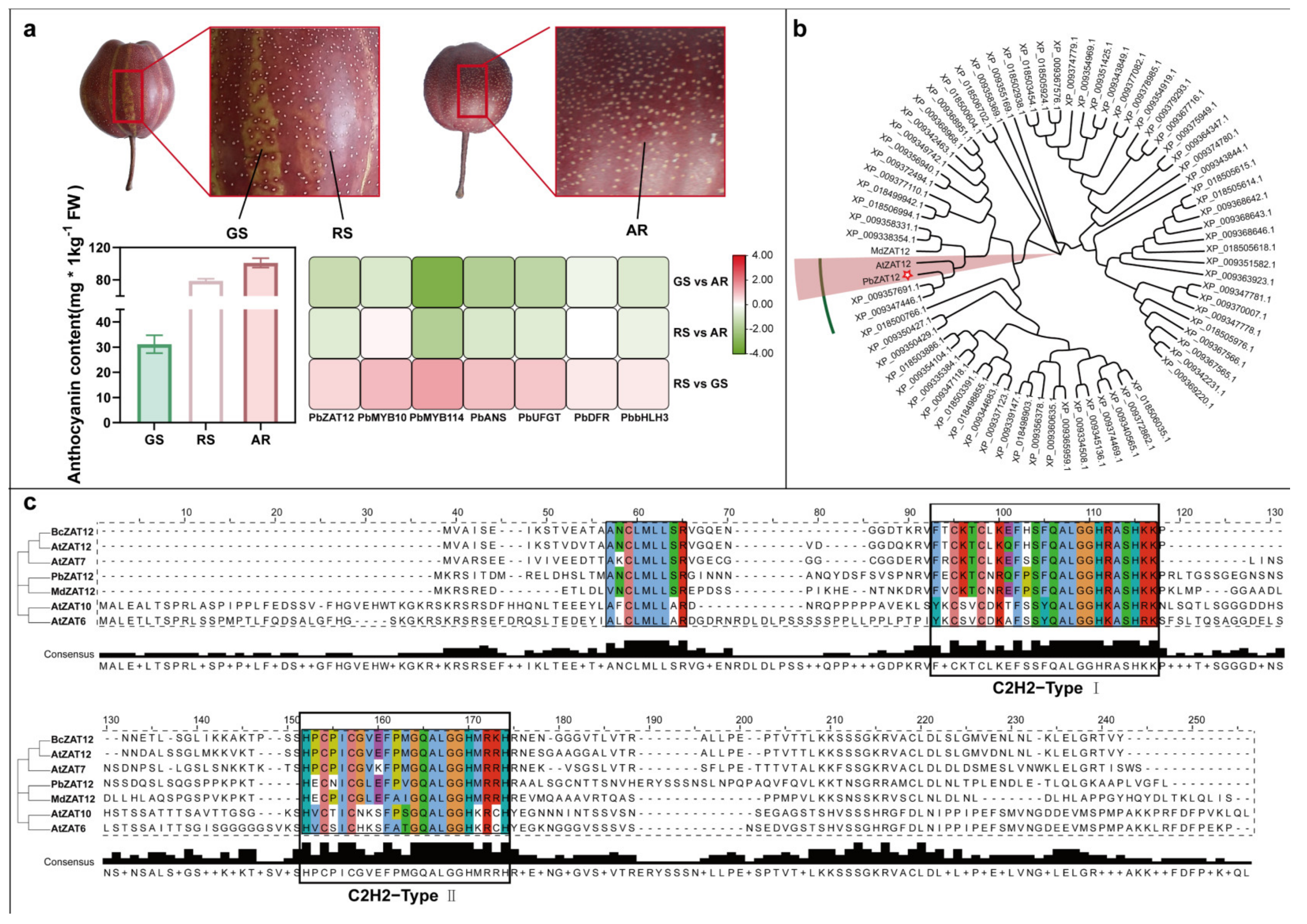 Horticulturae 09 00775 g001