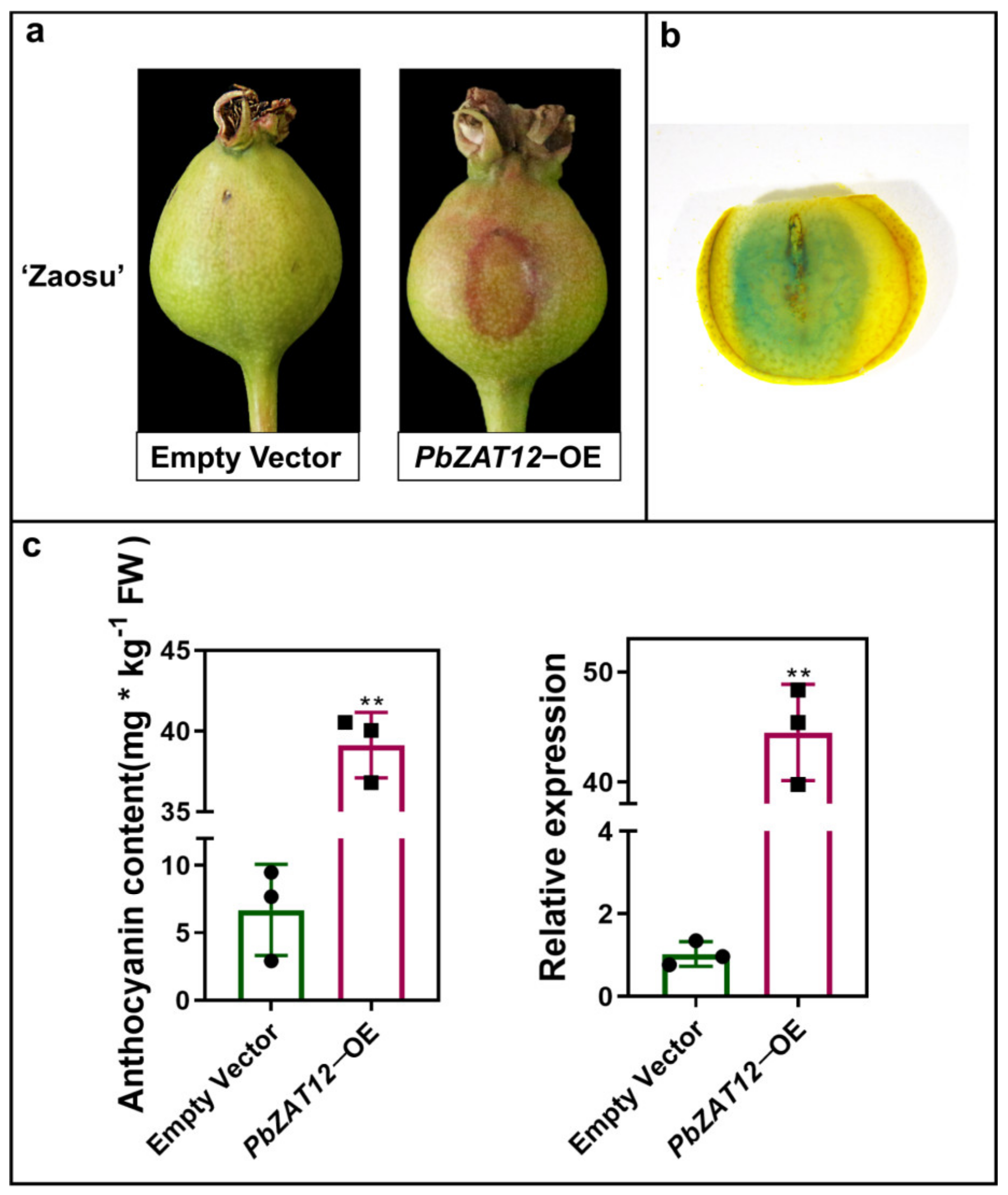 Horticulturae 09 00775 g002