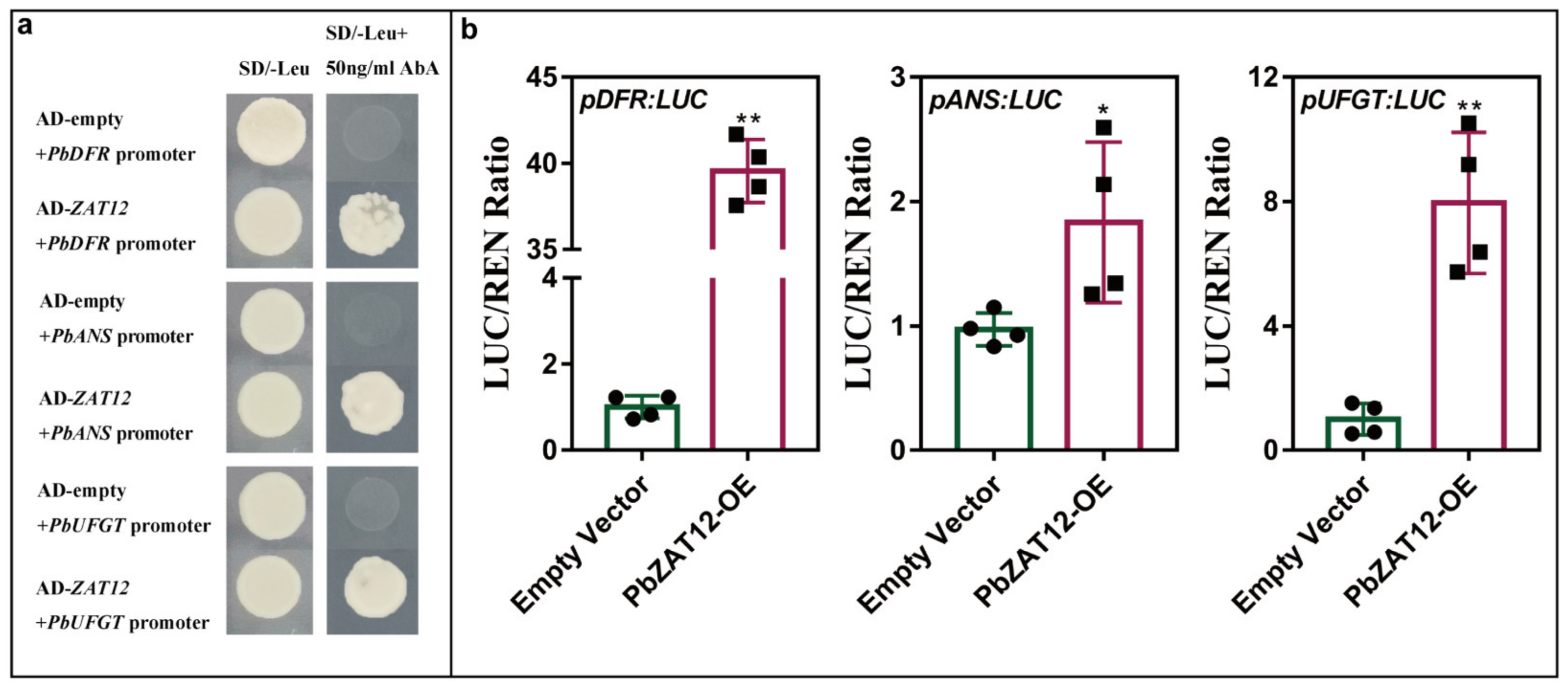 Horticulturae 09 00775 g005