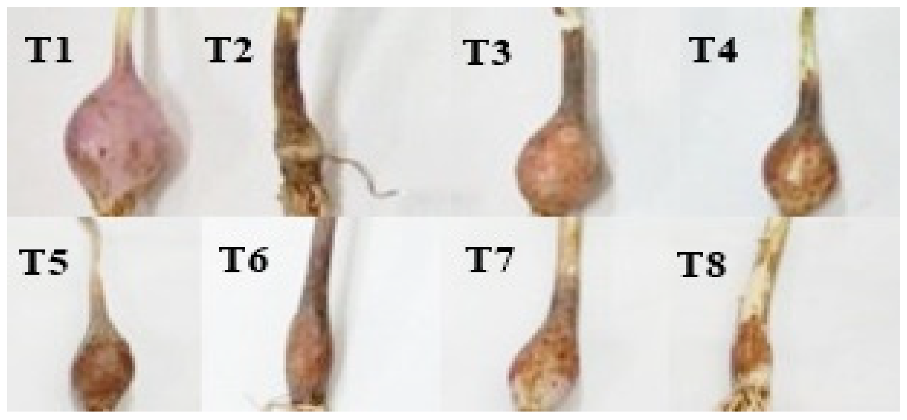 Horticulturae 09 00786 g002 Horticulturae 09 00786 g002