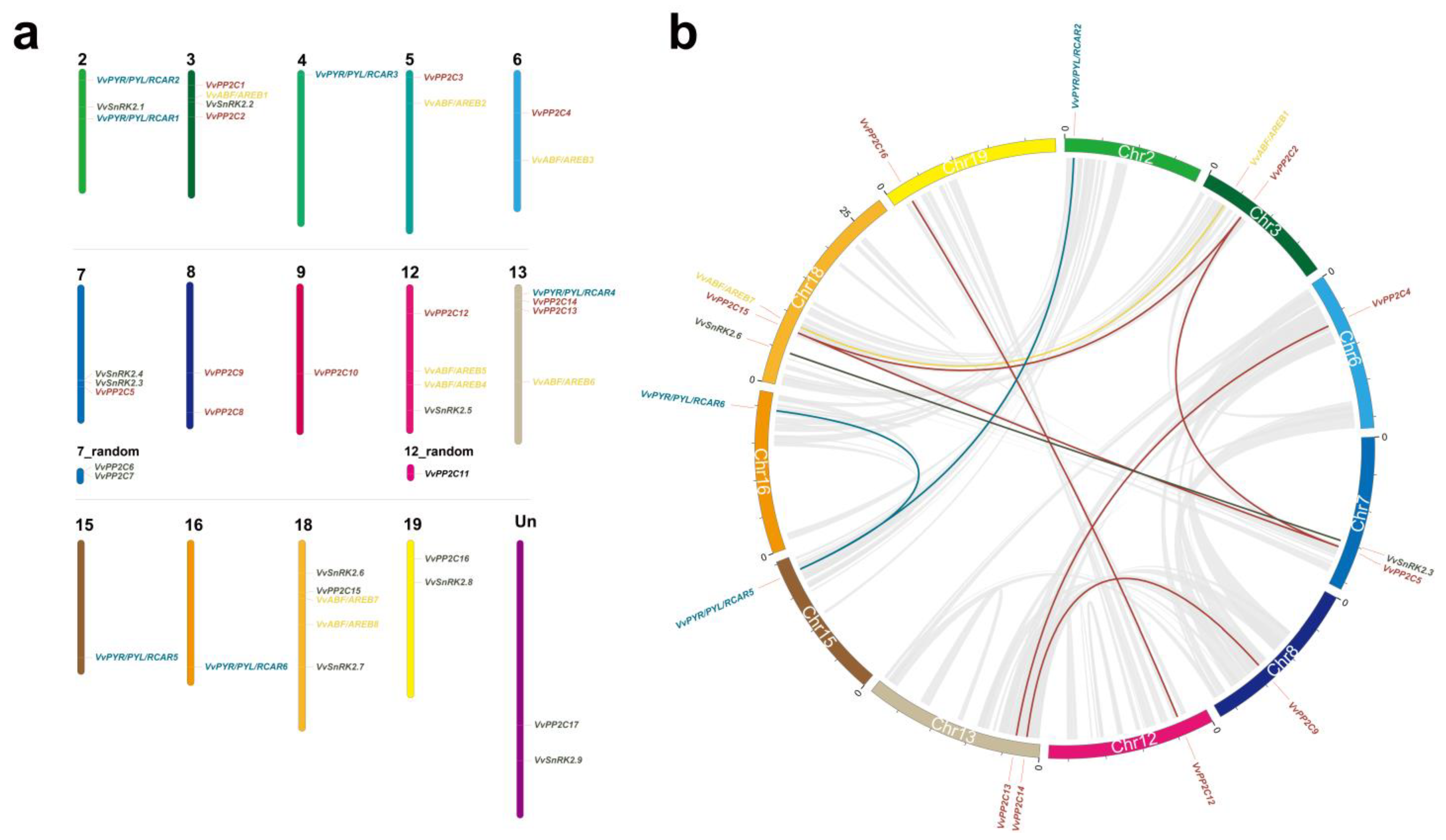 Horticulturae 09 00789 g003