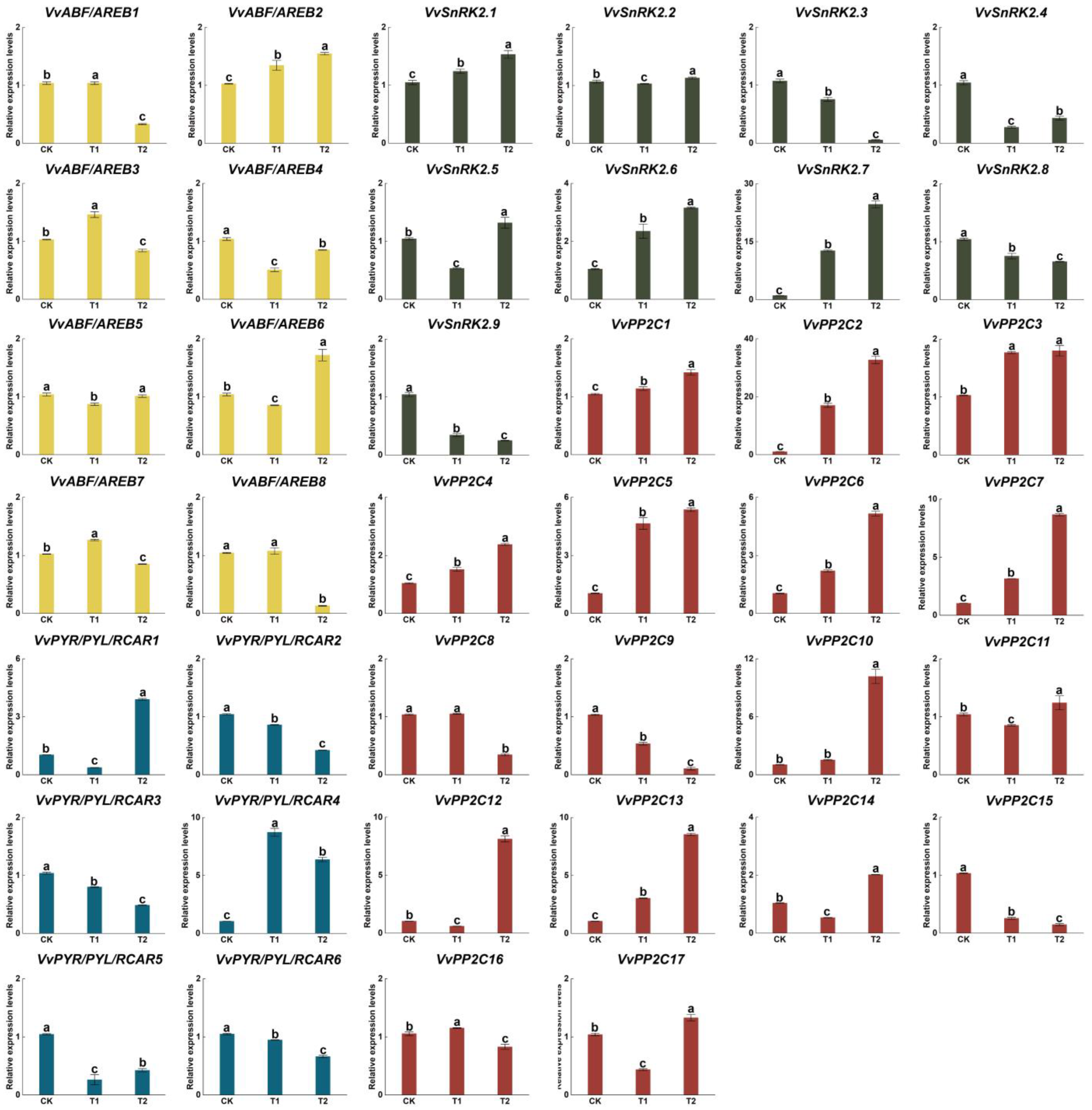 Horticulturae 09 00789 g006