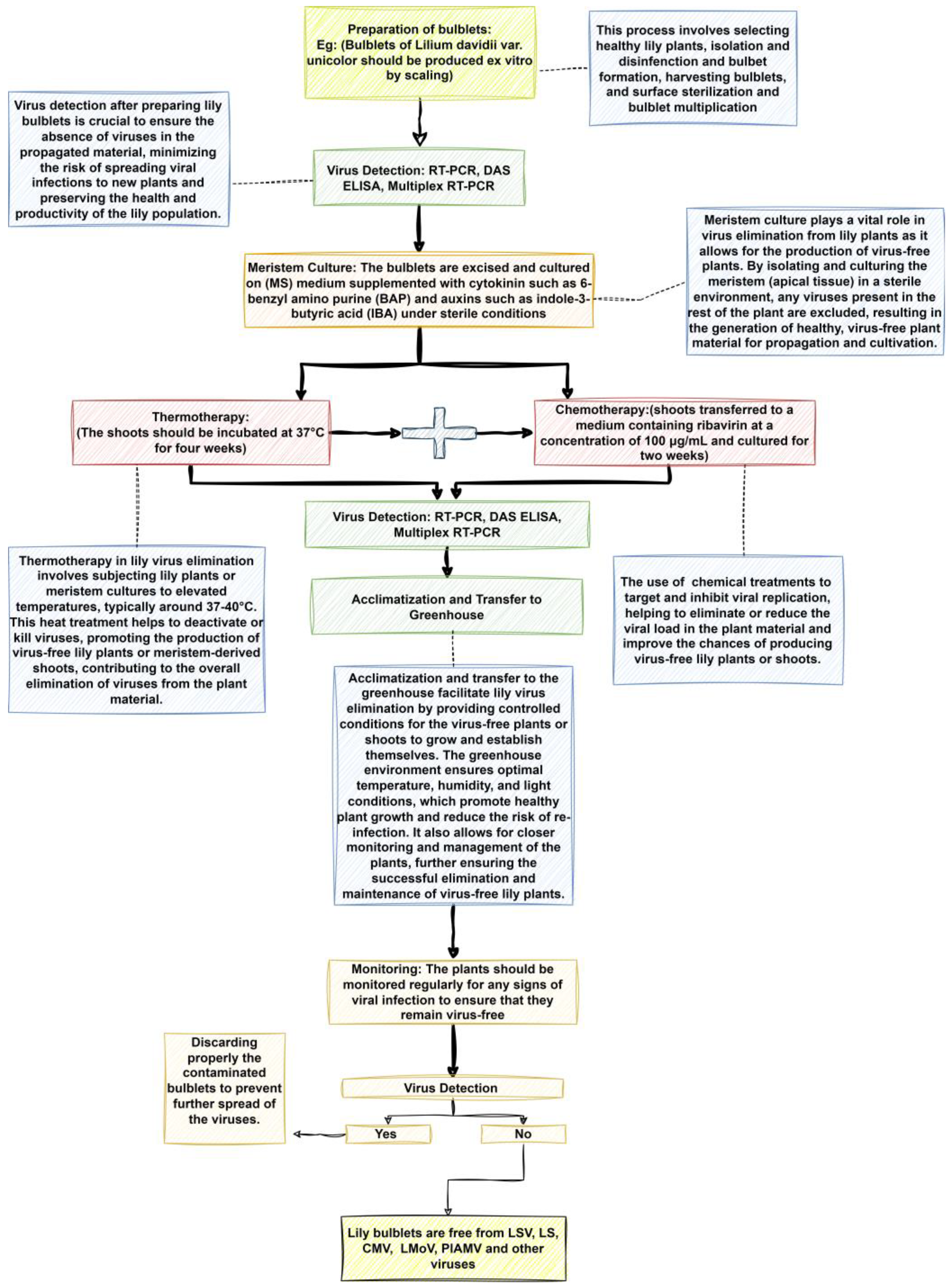 Horticulturae 09 00790 g002