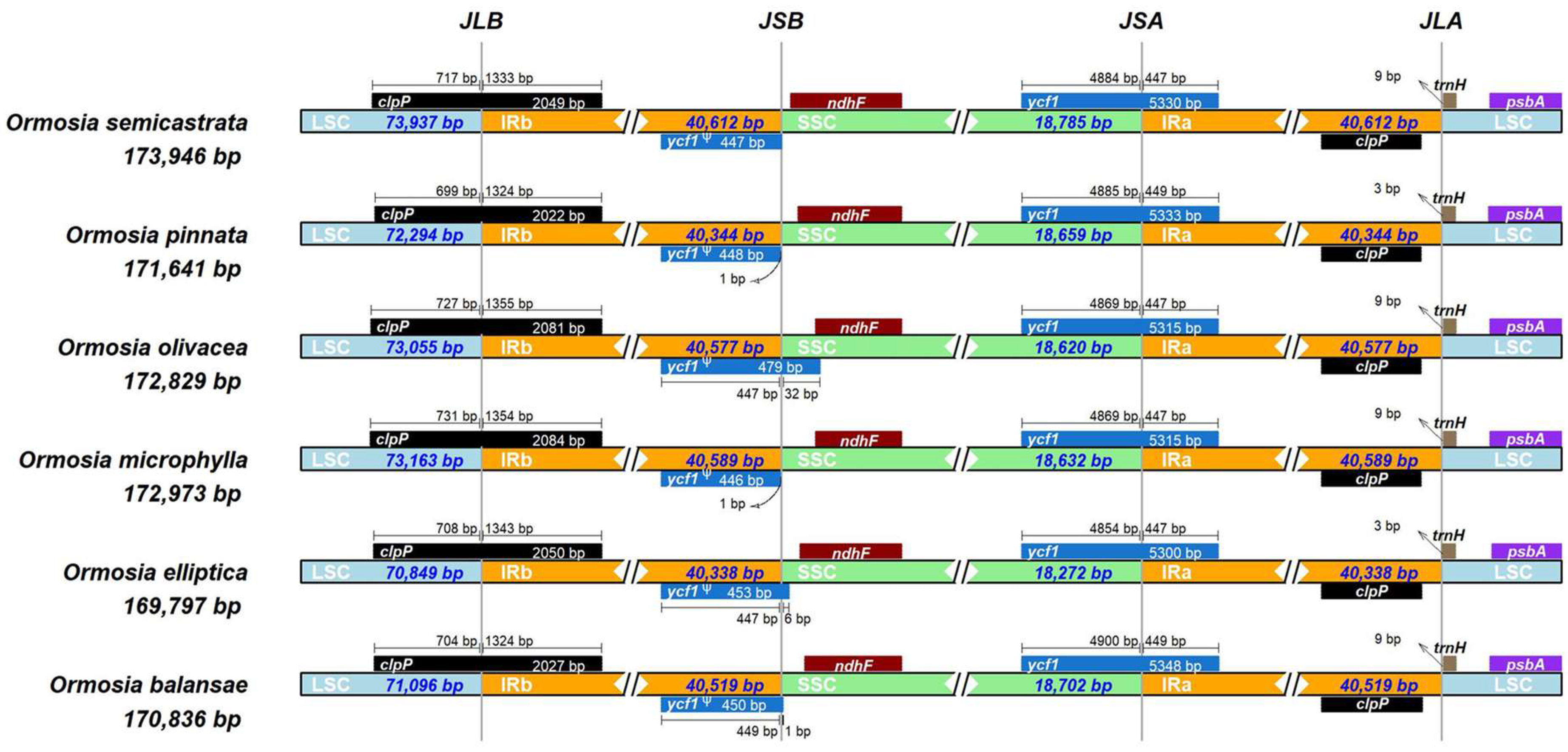 Horticulturae 09 00796 g002 Horticulturae 09 00796 g002