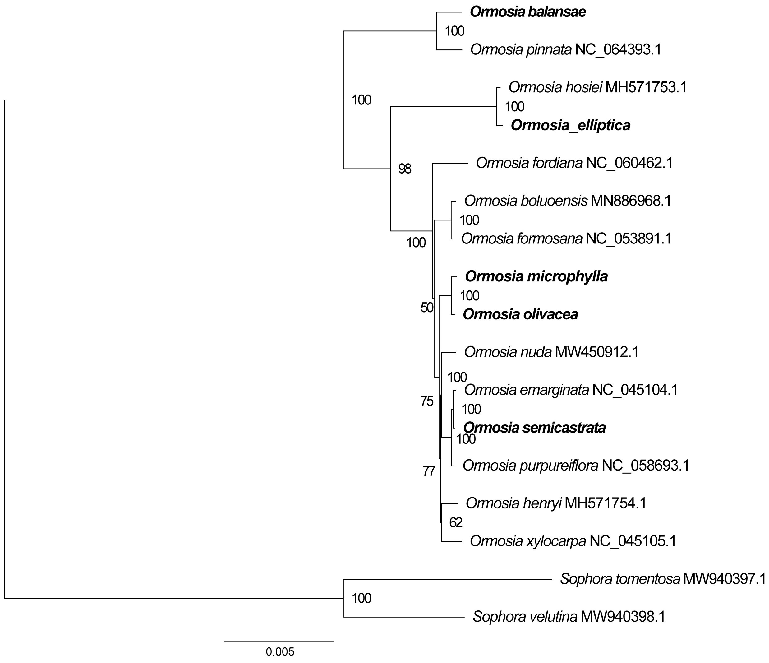 Horticulturae 09 00796 g006 Horticulturae 09 00796 g006