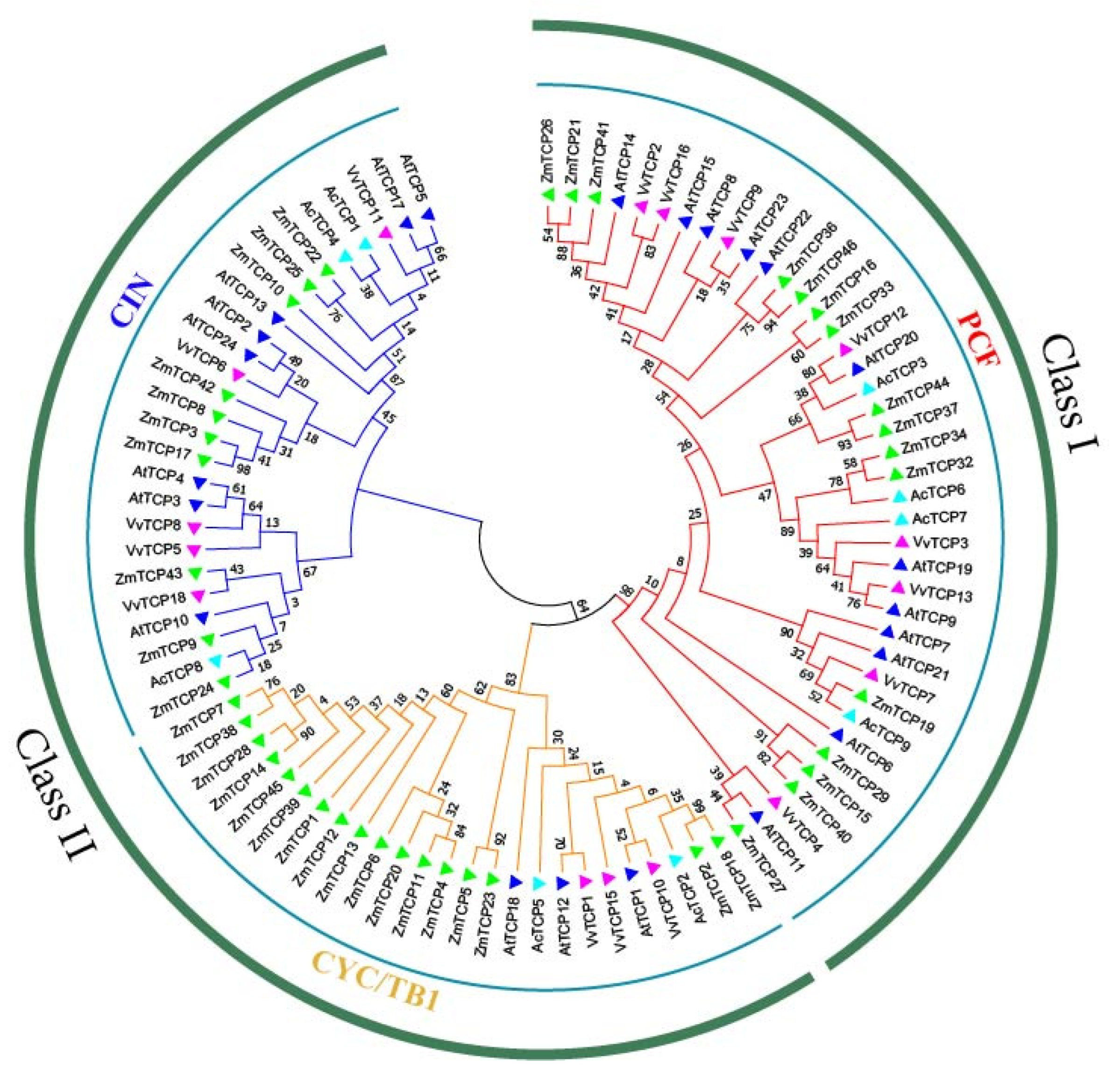 Horticulturae 09 00799 g002
