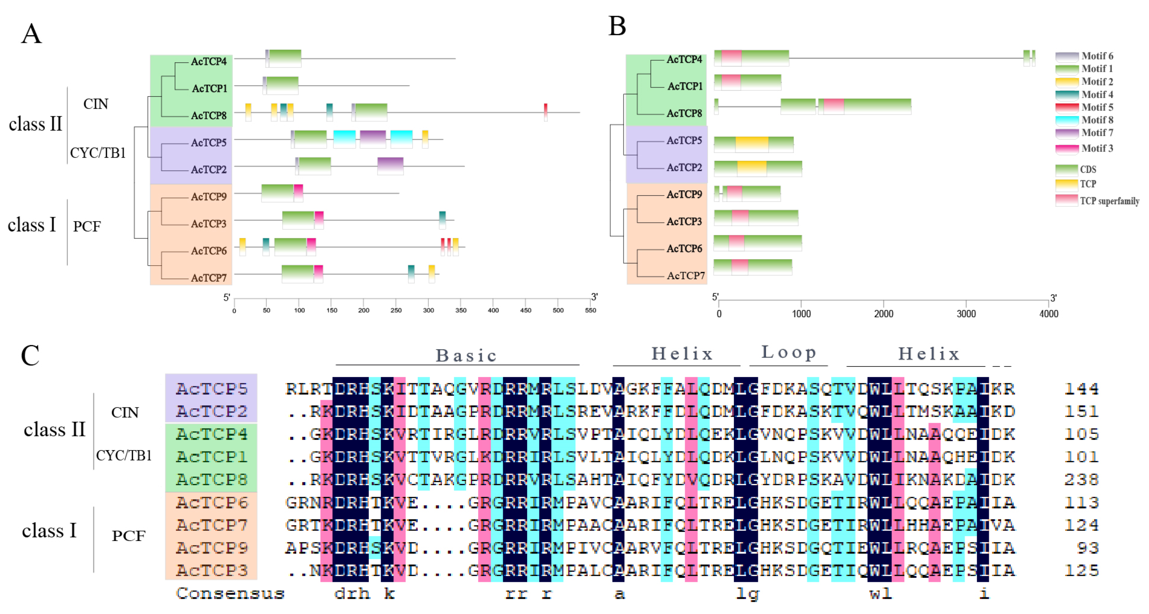 Horticulturae 09 00799 g003