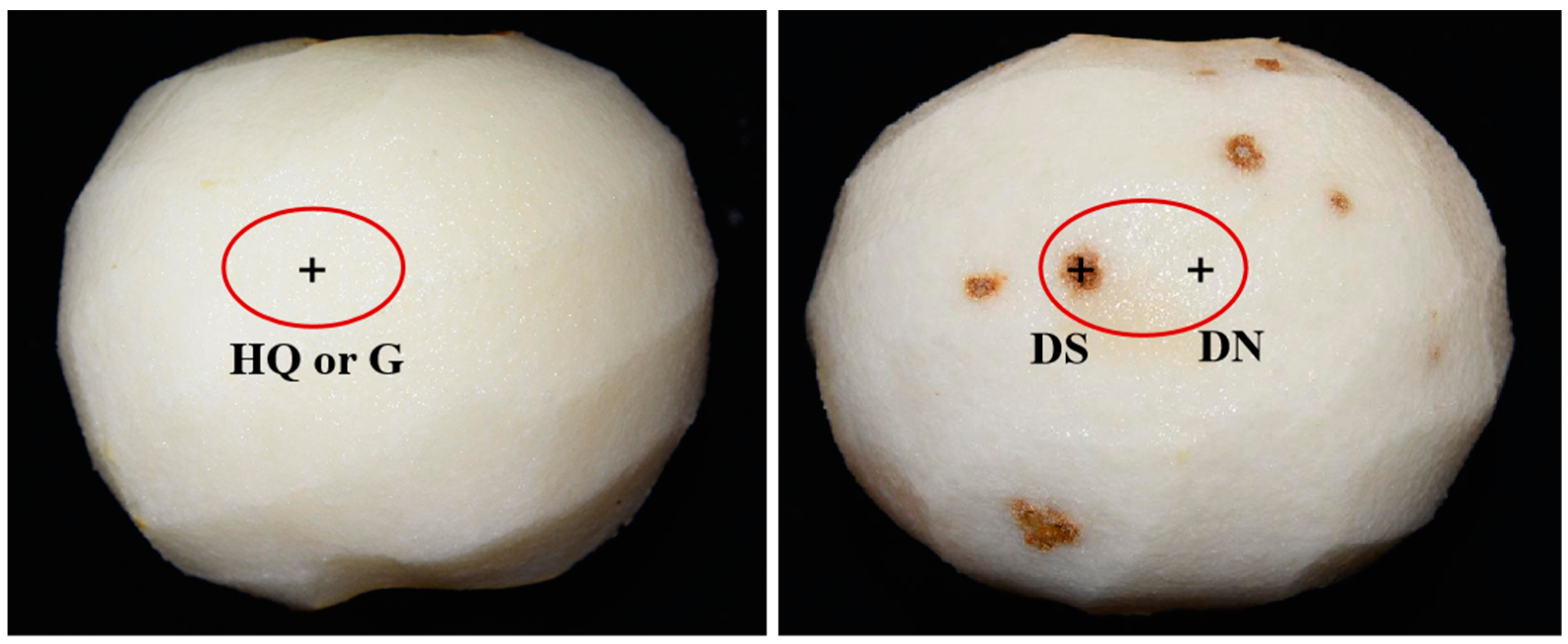 Horticulturae 09 00818 g001 Horticulturae 09 00818 g001