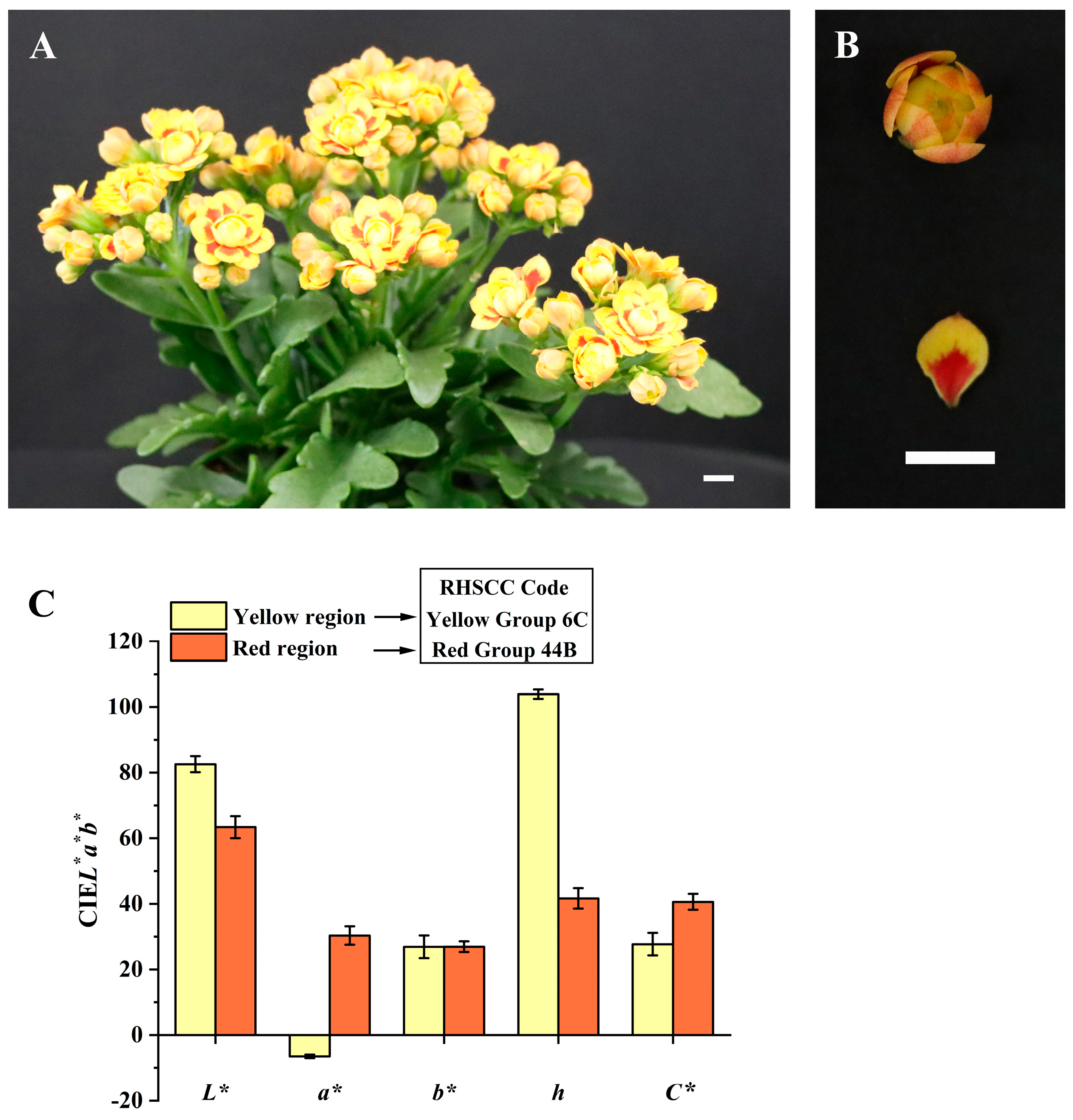 Horticulturae 09 00844 g001 Horticulturae 09 00844 g001