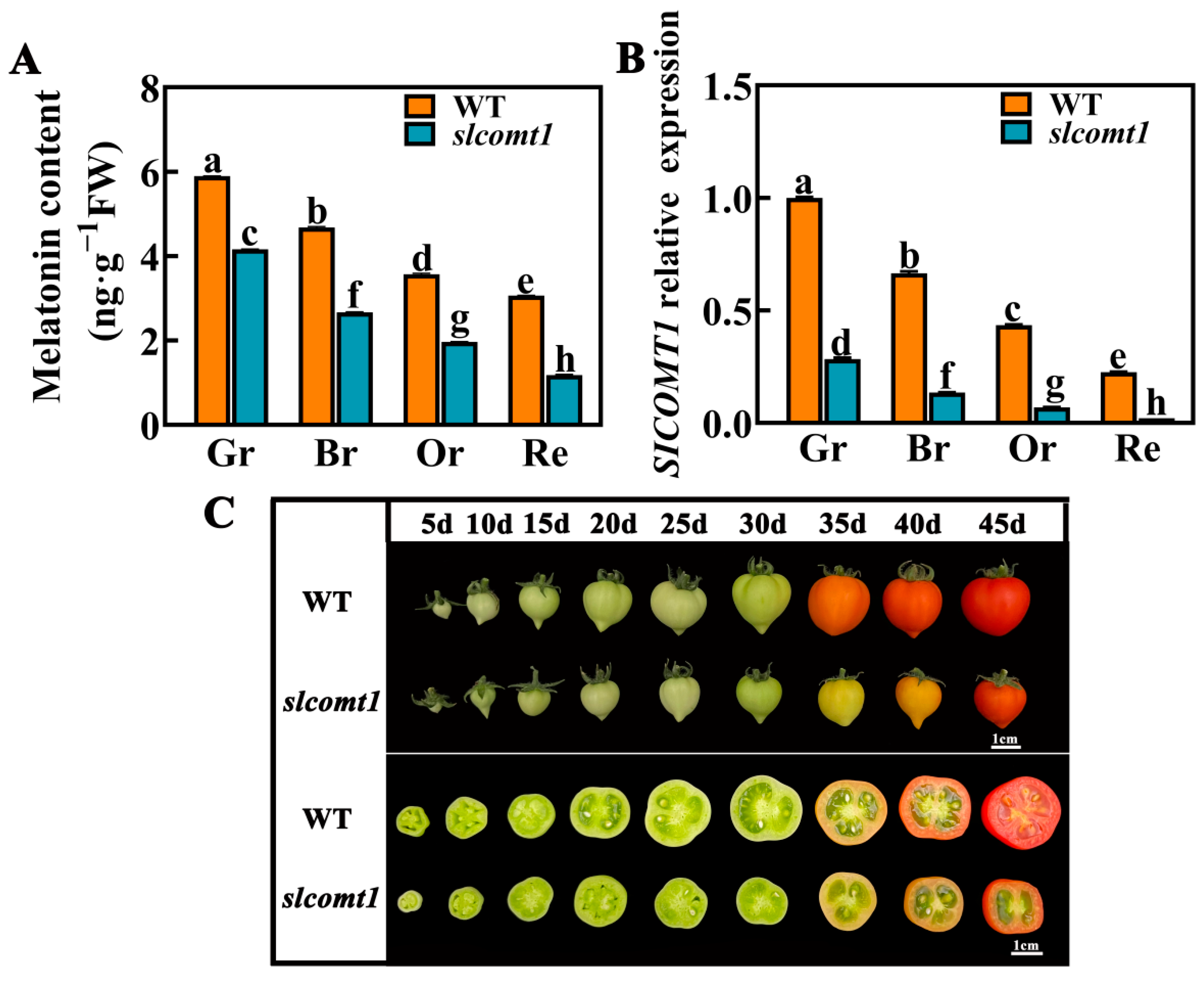 Horticulturae 09 00851 g001 Horticulturae 09 00851 g001