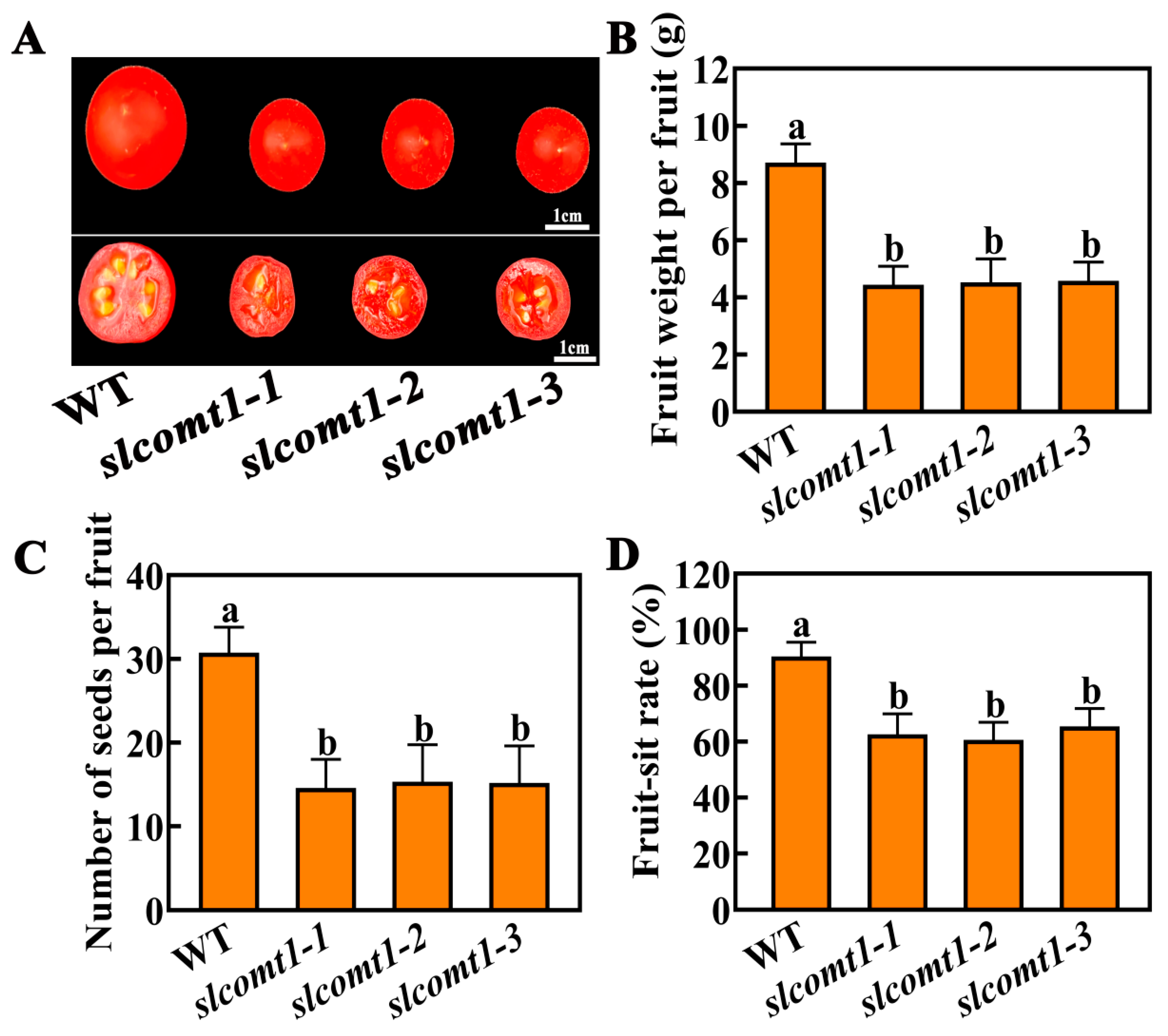Horticulturae 09 00851 g002 Horticulturae 09 00851 g002
