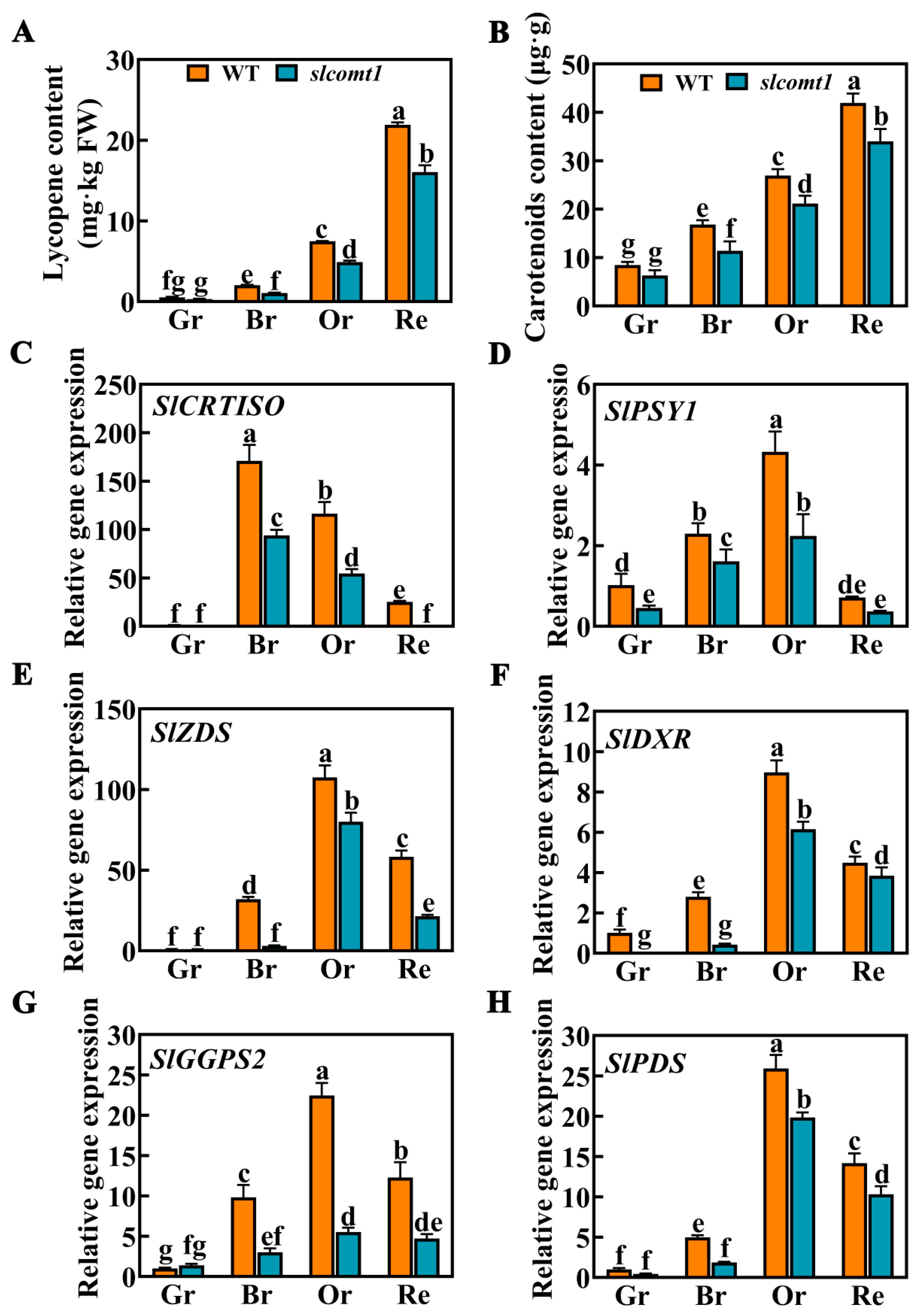 Horticulturae 09 00851 g003 Horticulturae 09 00851 g003