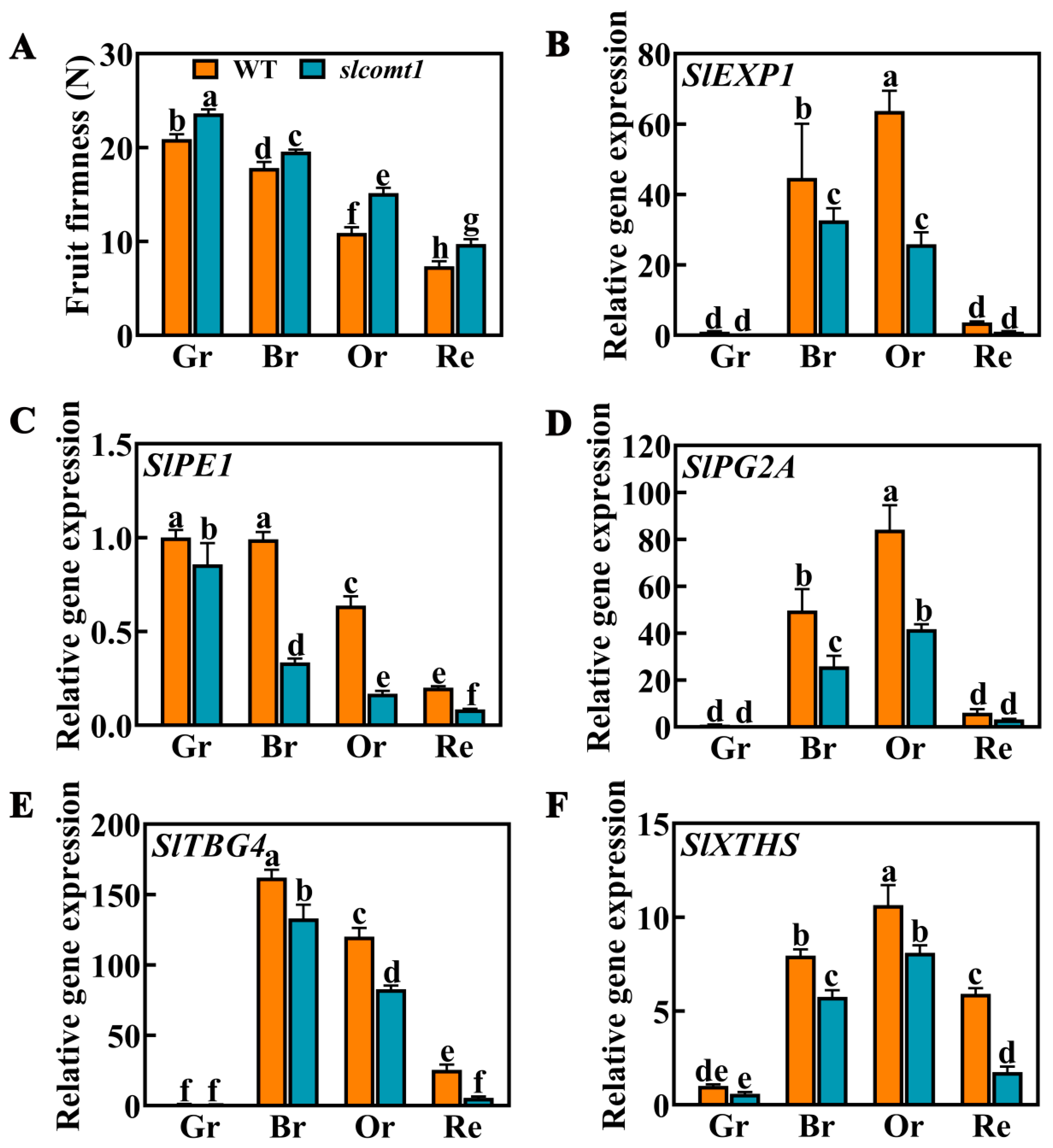Horticulturae 09 00851 g004 Horticulturae 09 00851 g004