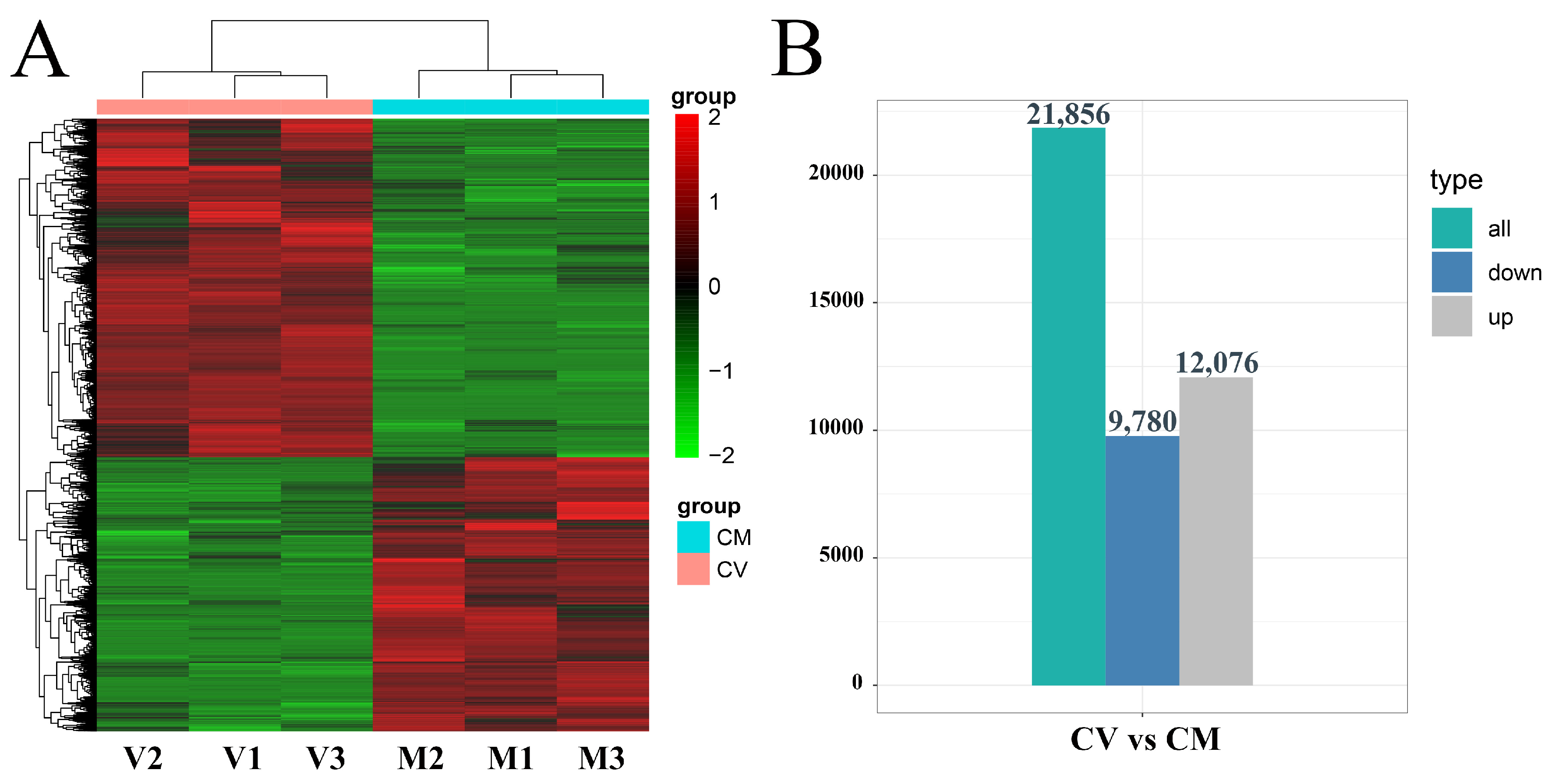 Horticulturae 09 00868 g002