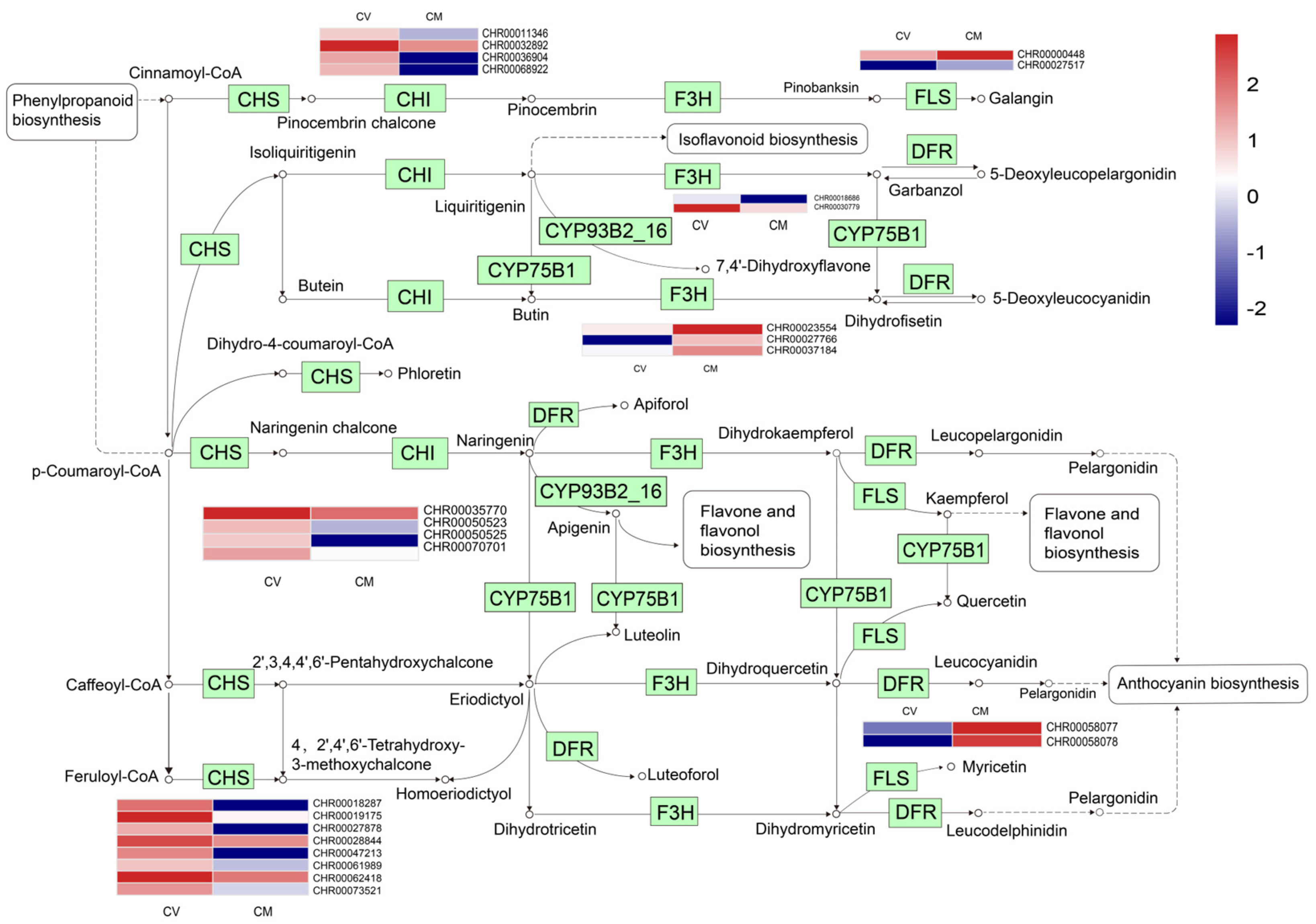 Horticulturae 09 00868 g005
