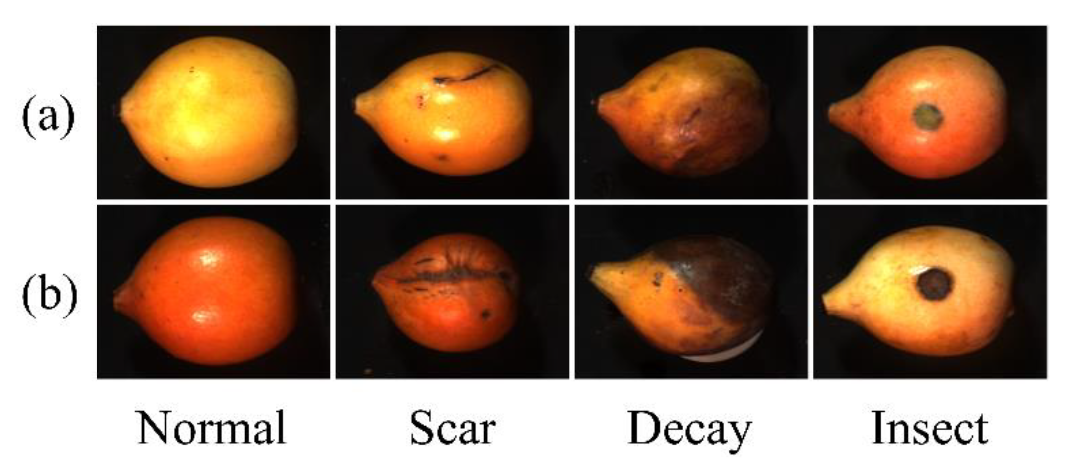 Horticulturae 09 00869 g001 Horticulturae 09 00869 g001