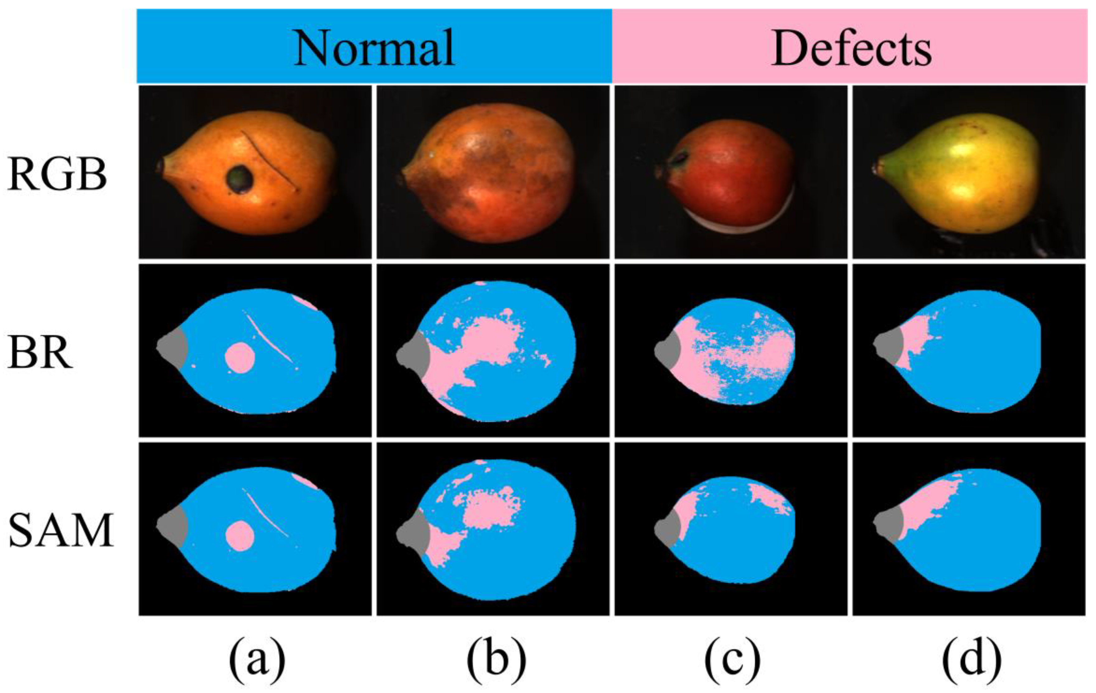 Horticulturae 09 00869 g004 Horticulturae 09 00869 g004