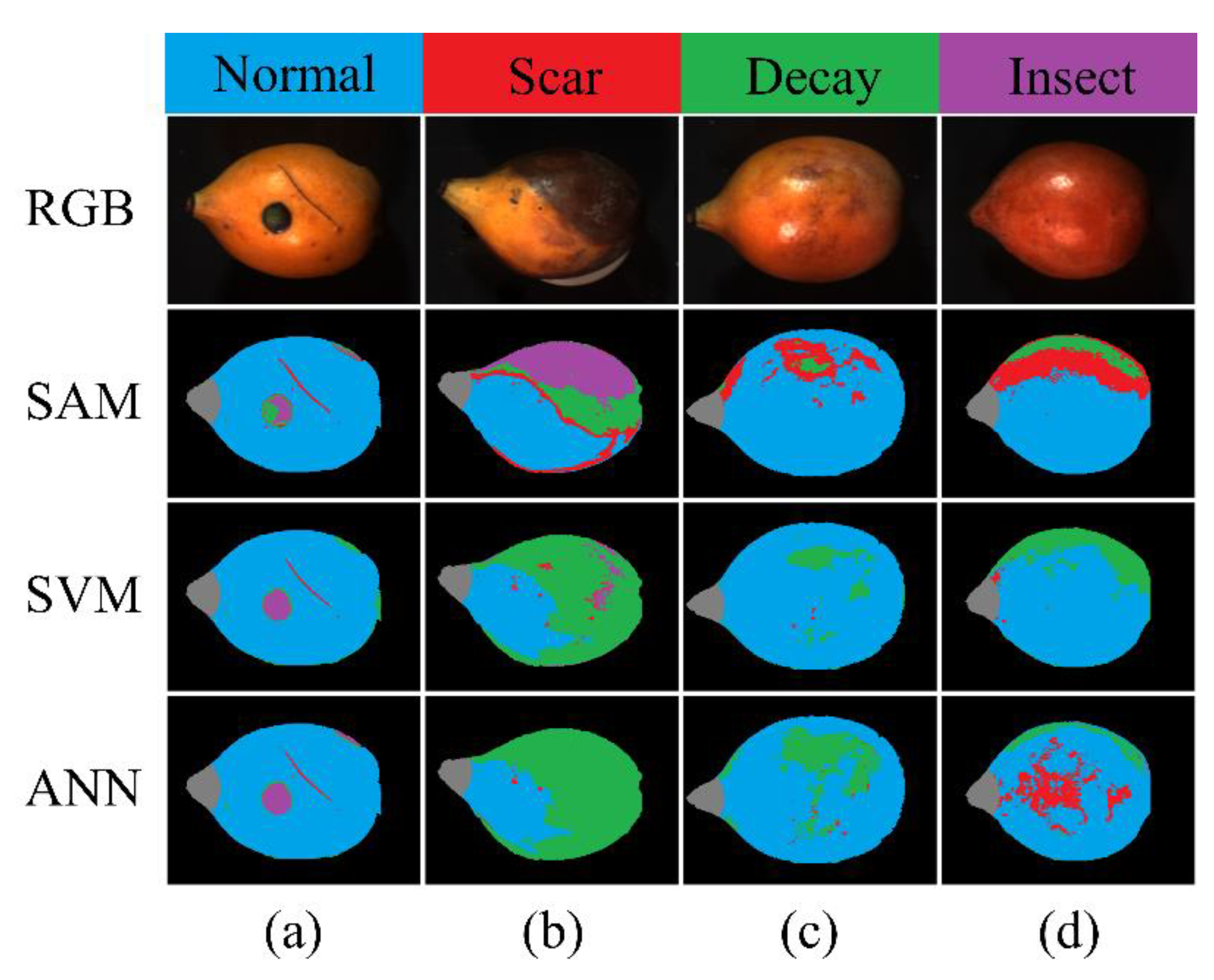Horticulturae 09 00869 g005 Horticulturae 09 00869 g005