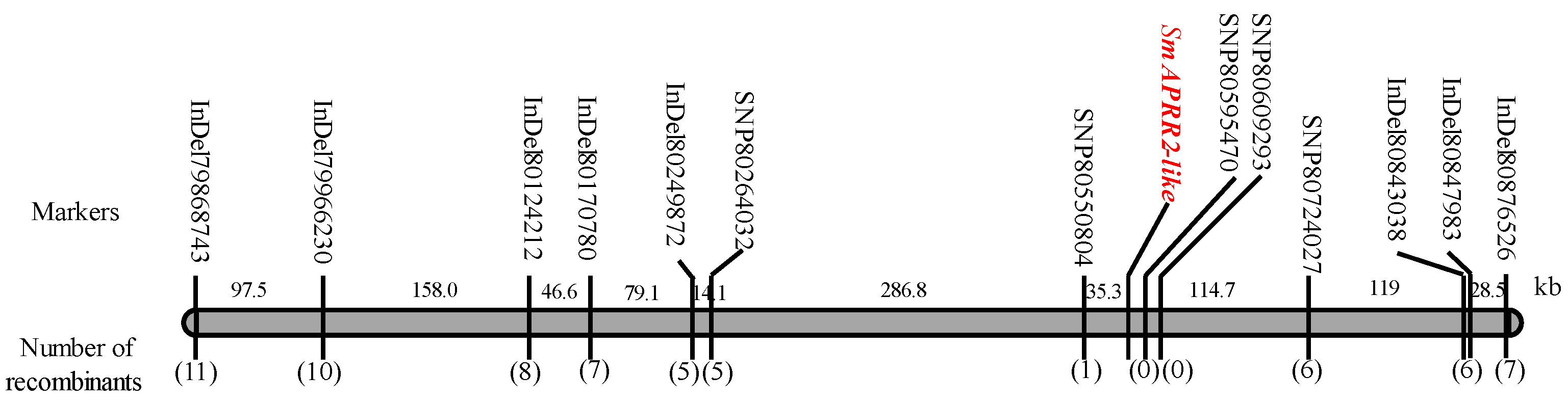 Horticulturae 09 00888 g003 Horticulturae 09 00888 g003