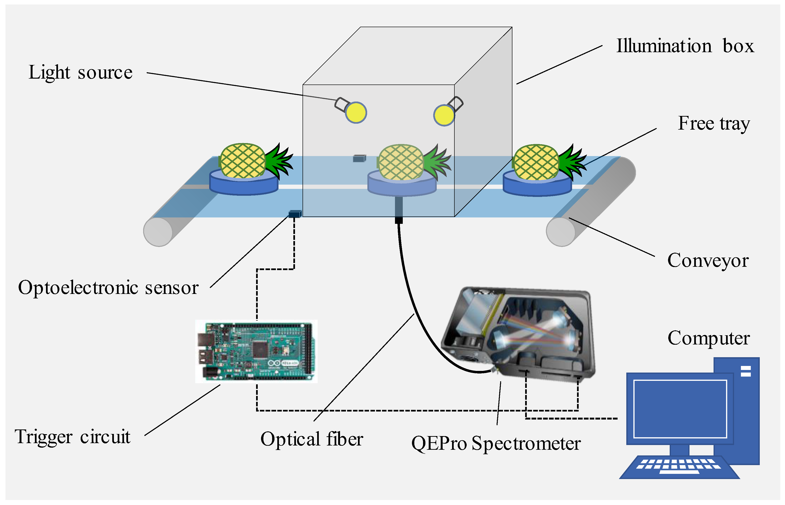 Horticulturae 09 00889 g001 Horticulturae 09 00889 g001