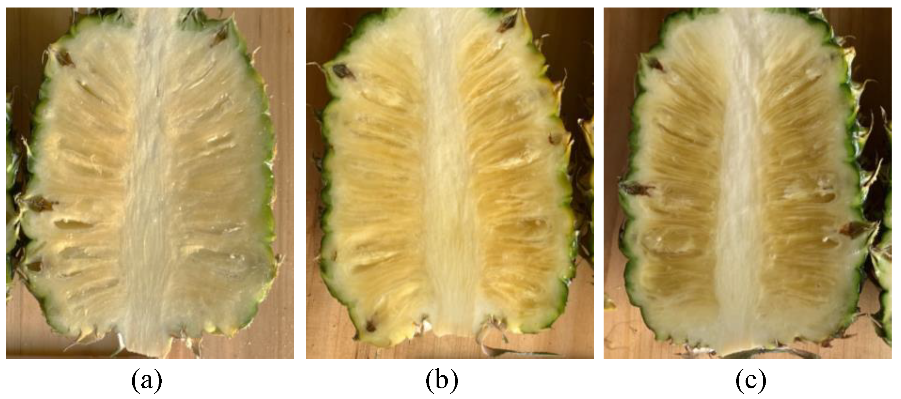 Horticulturae 09 00889 g002 Horticulturae 09 00889 g002