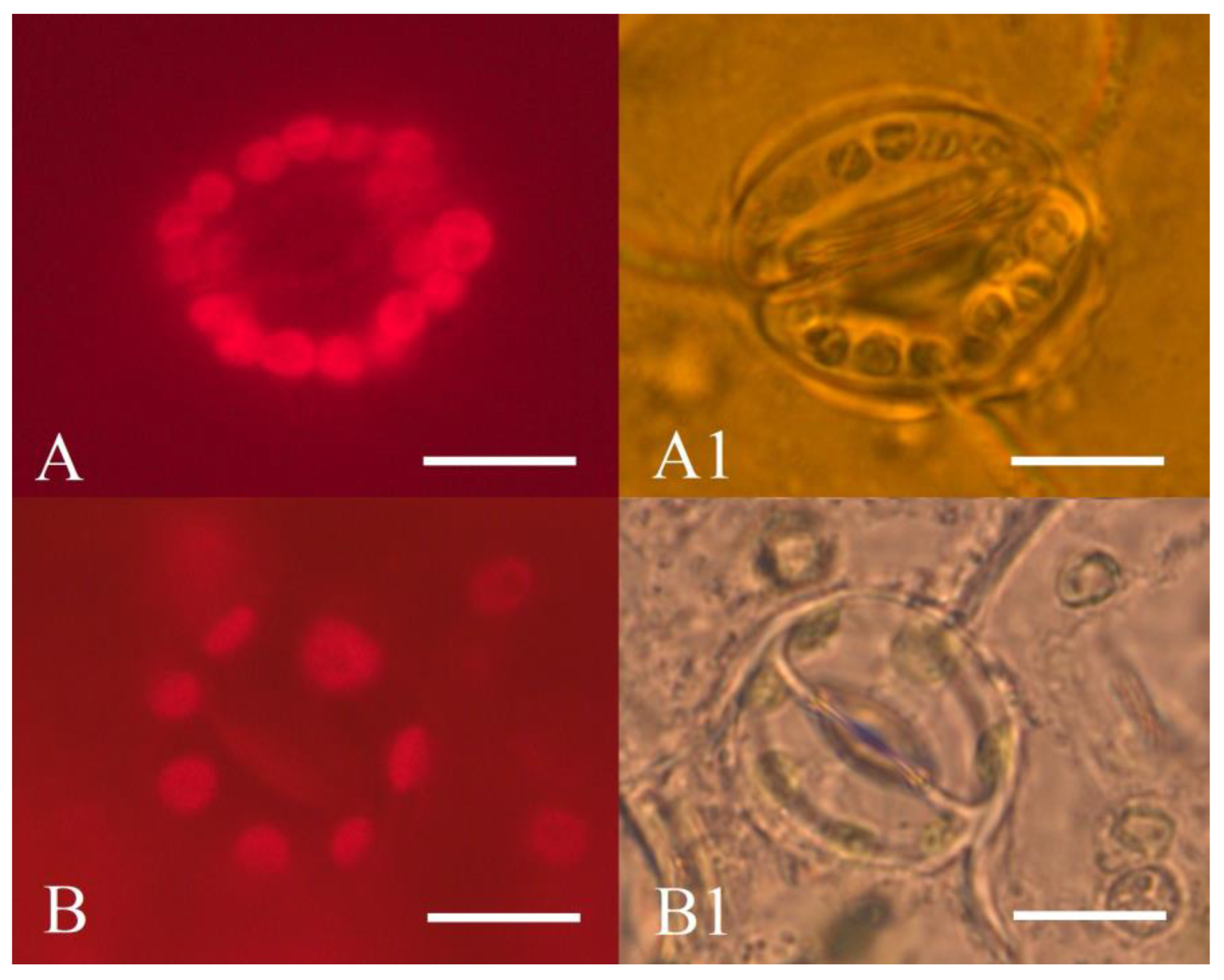 Horticulturae 09 00900 g009