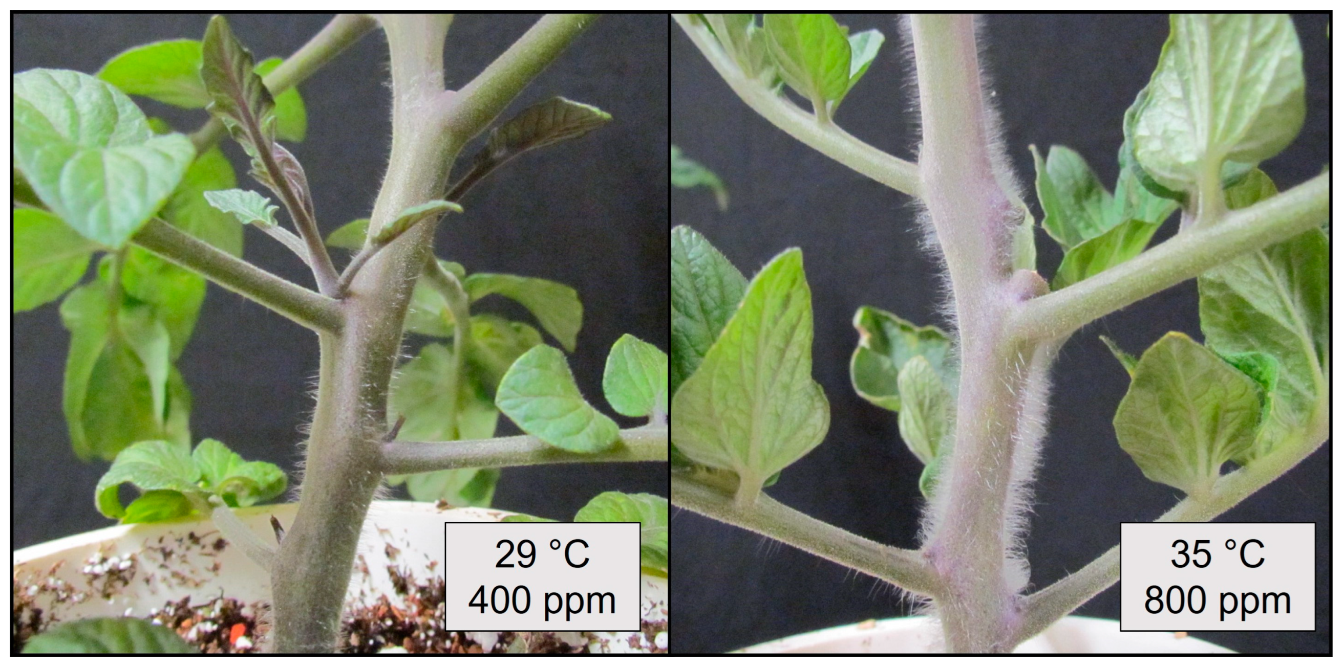 Horticulturae 09 00907 g008