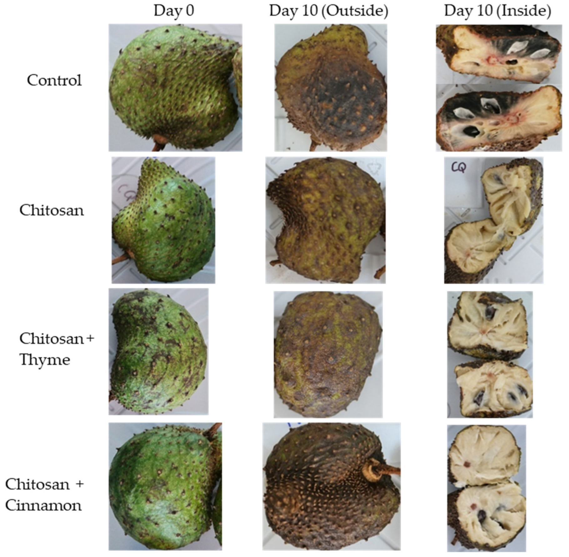 Horticulturae 09 00908 g002