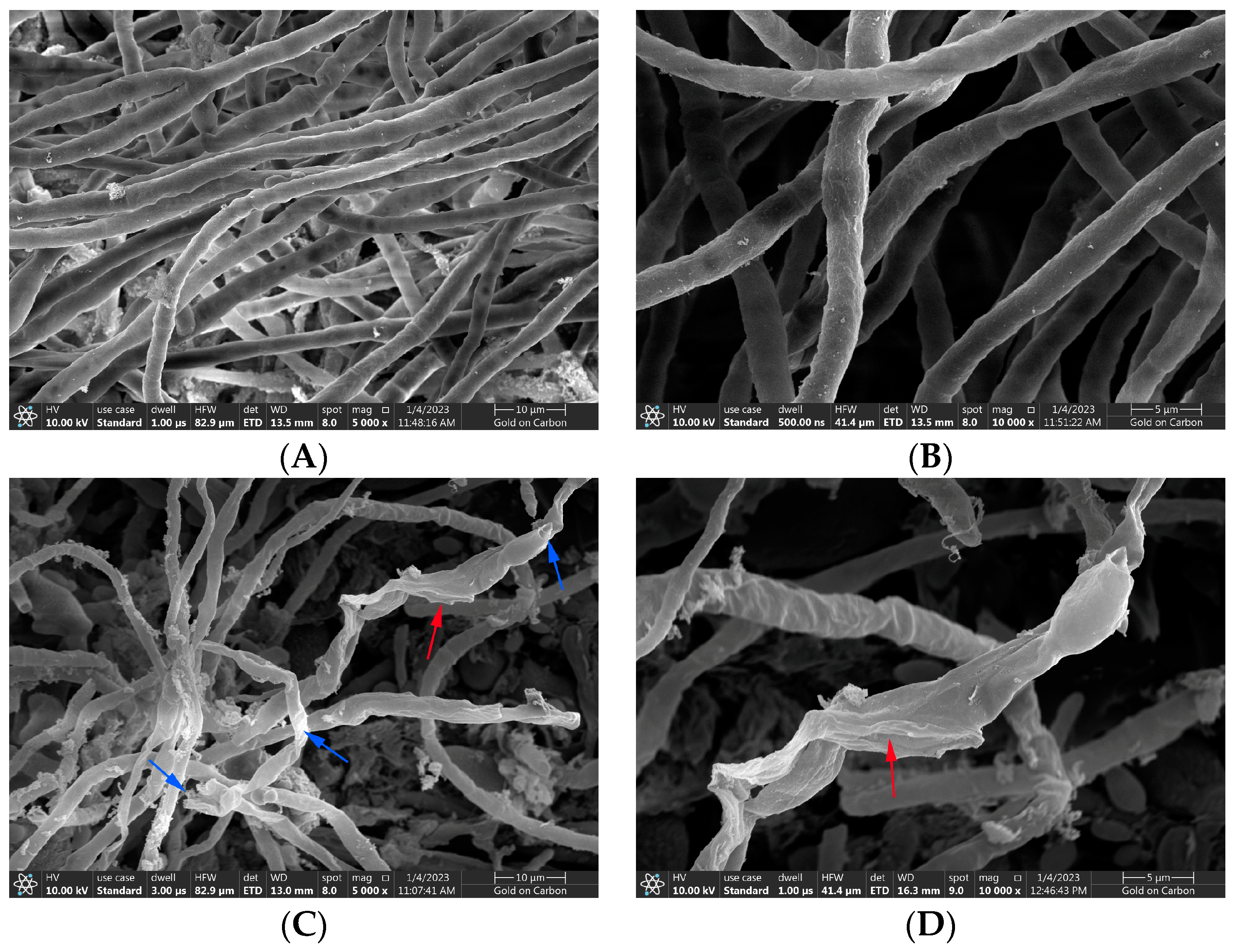 Horticulturae 09 00911 g006