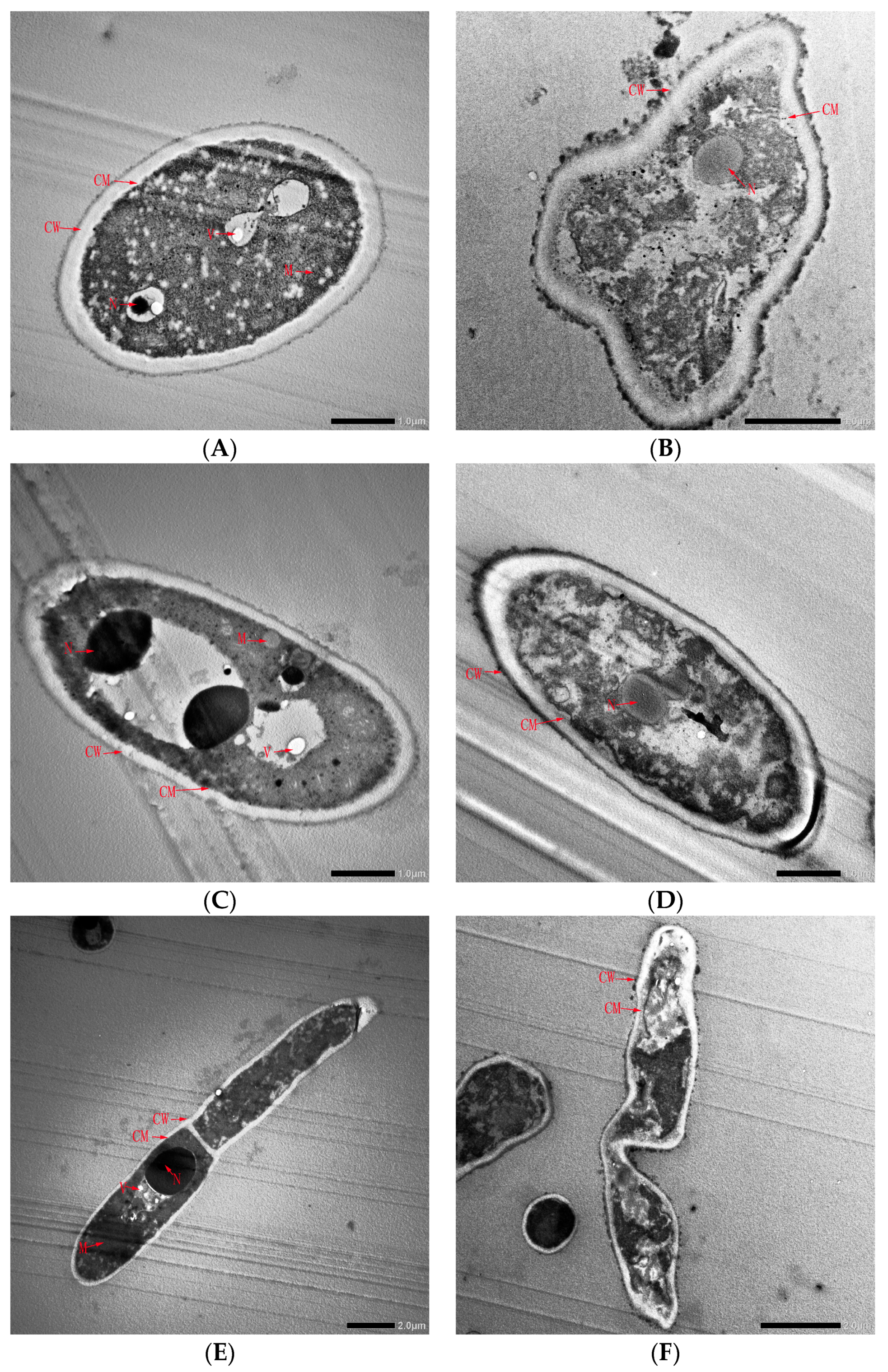 Horticulturae 09 00911 g007