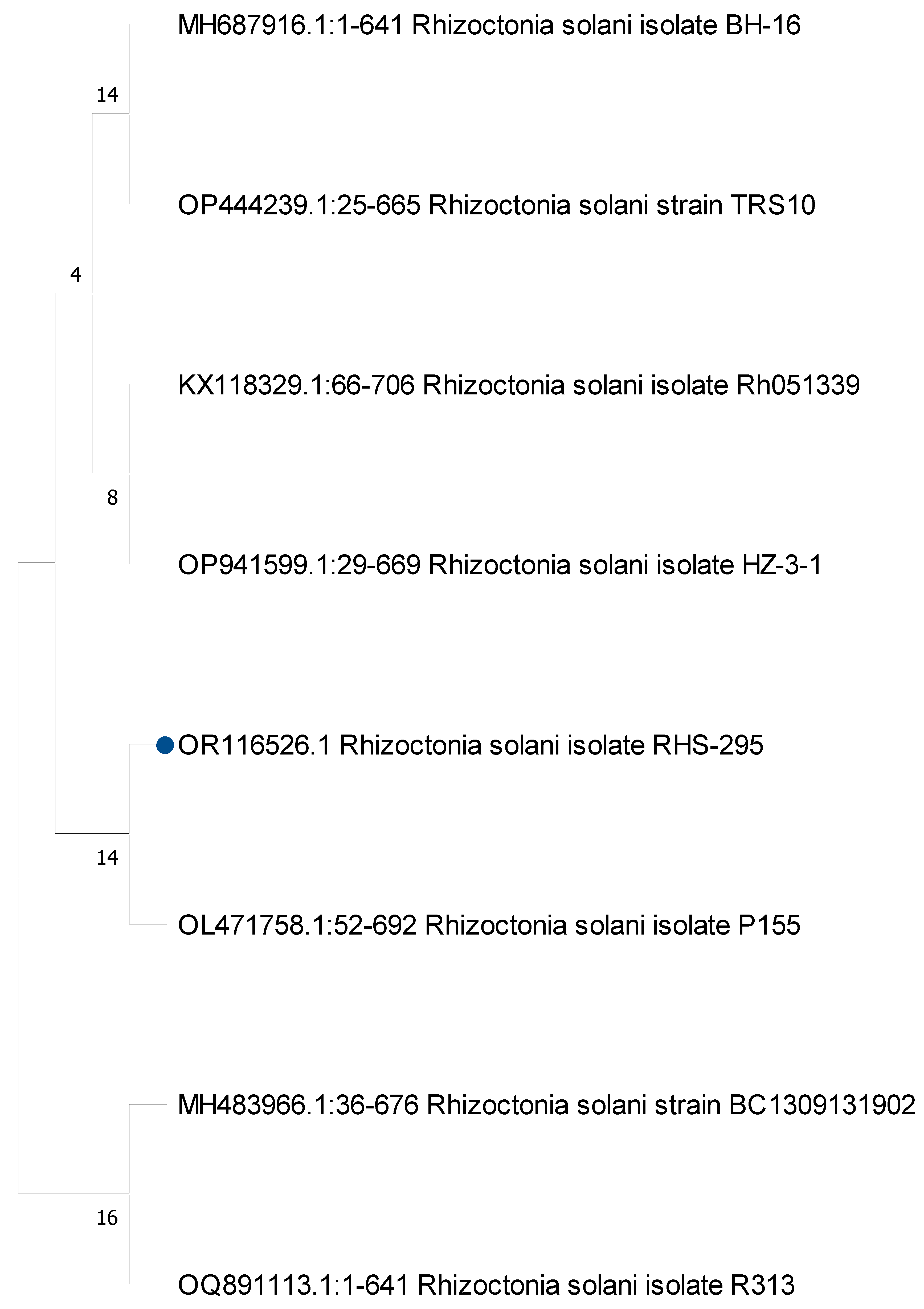Horticulturae 09 00912 g001