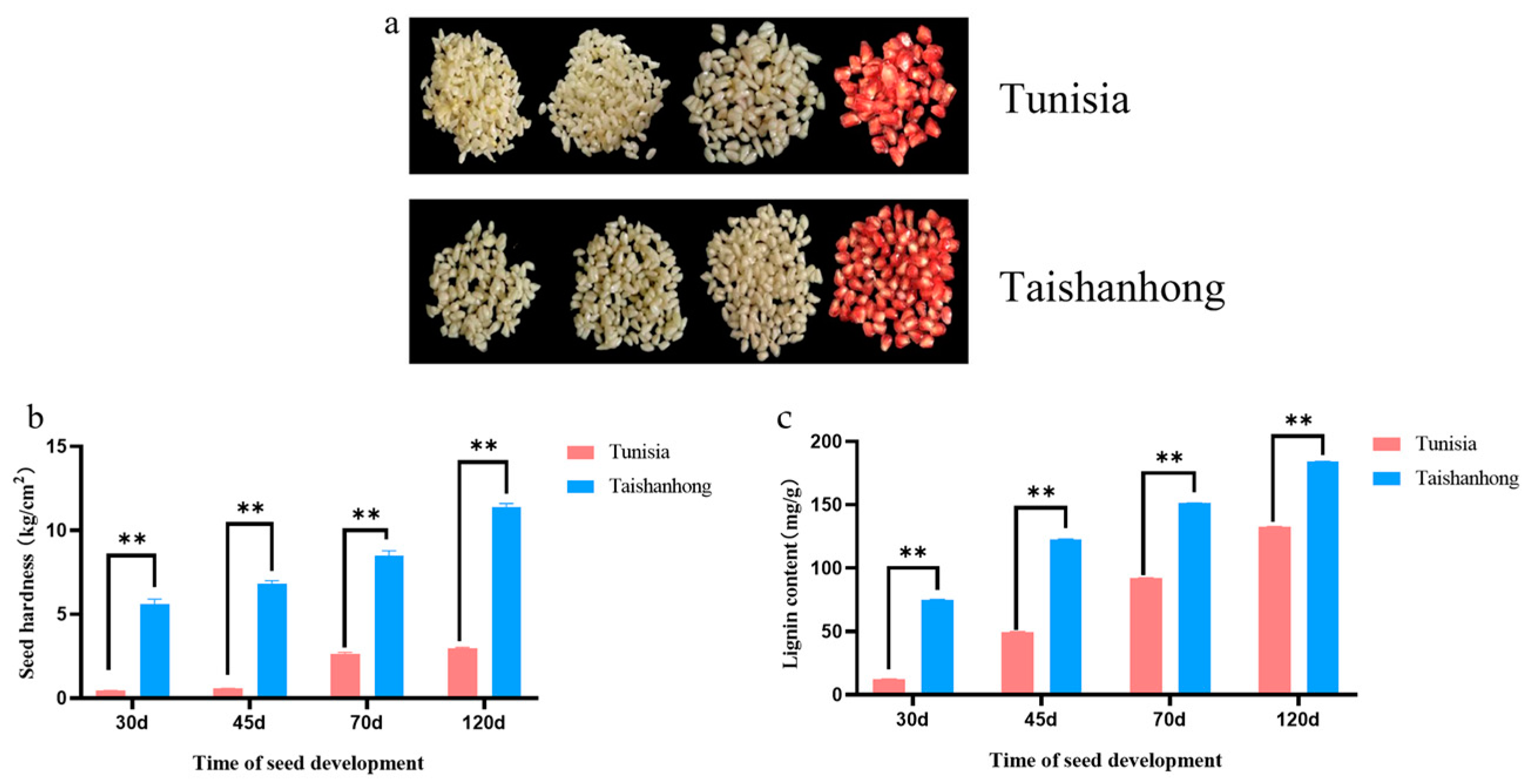 Horticulturae 09 00918 g001 Horticulturae 09 00918 g001