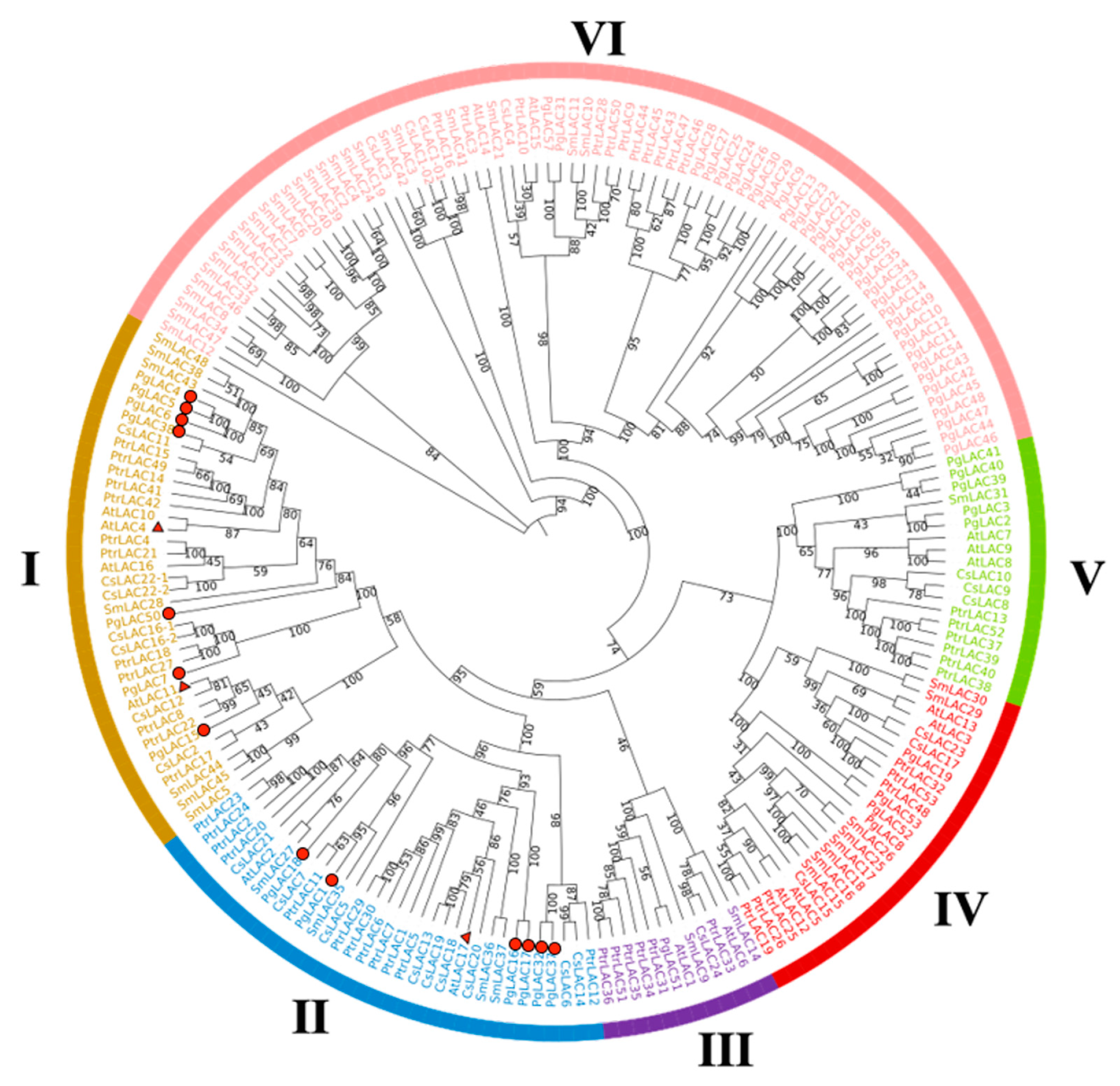 Horticulturae 09 00918 g003 Horticulturae 09 00918 g003