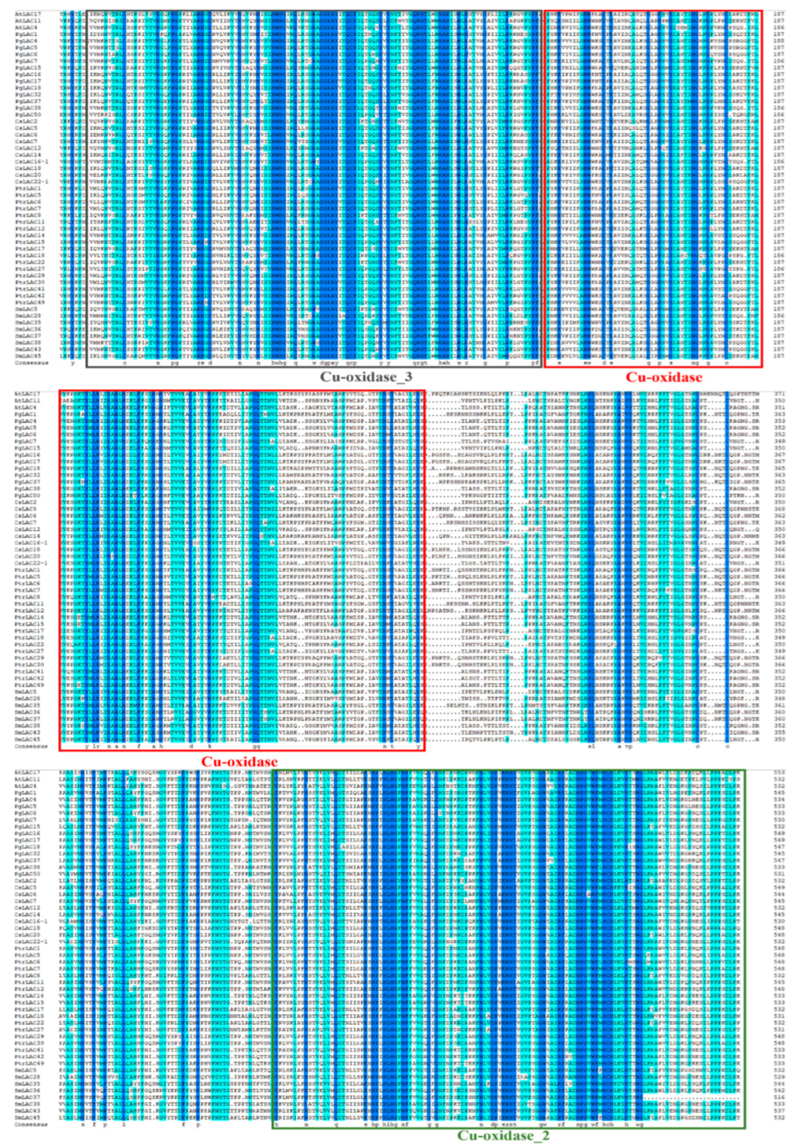 Horticulturae 09 00918 g004 Horticulturae 09 00918 g004