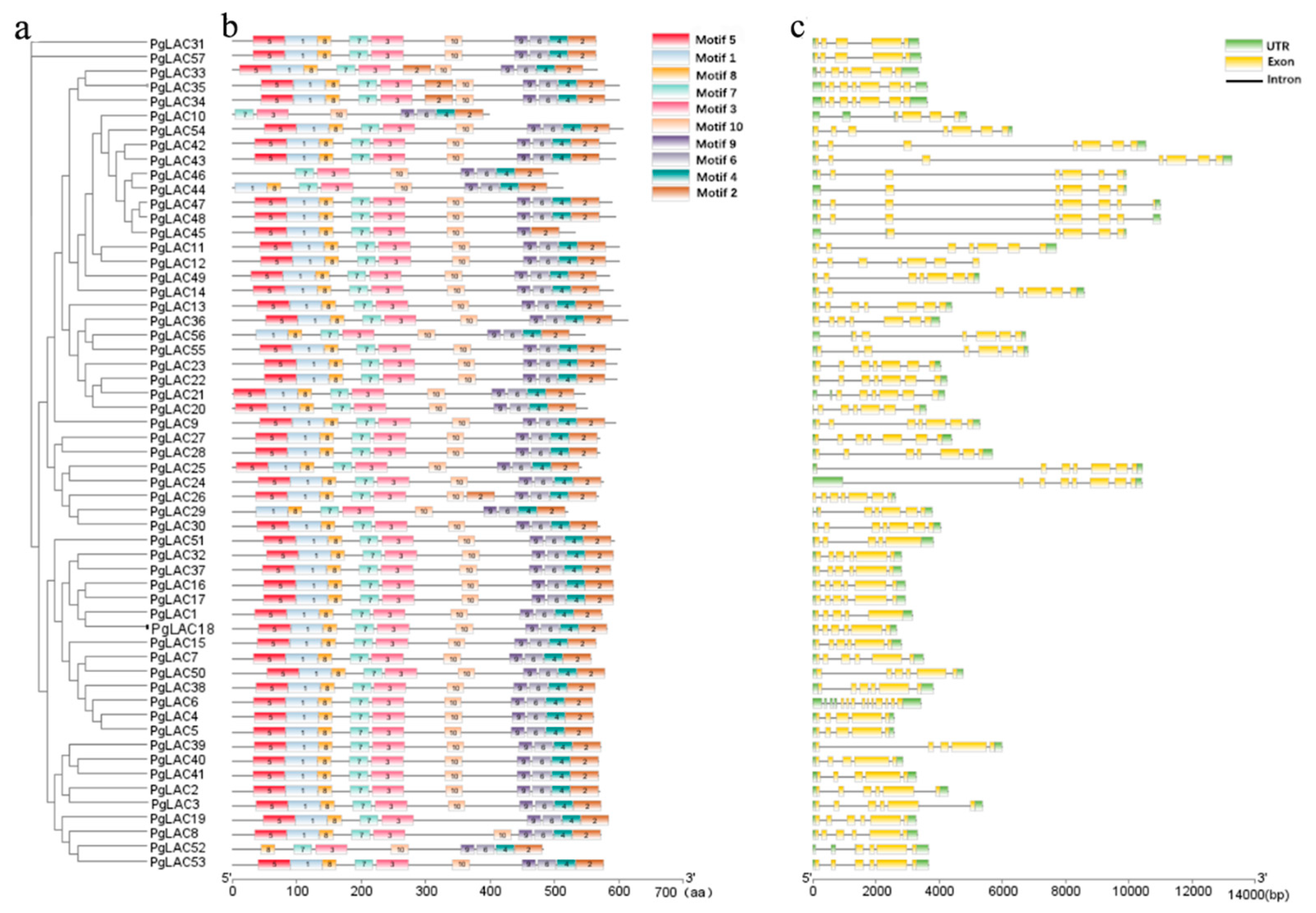 Horticulturae 09 00918 g005 Horticulturae 09 00918 g005