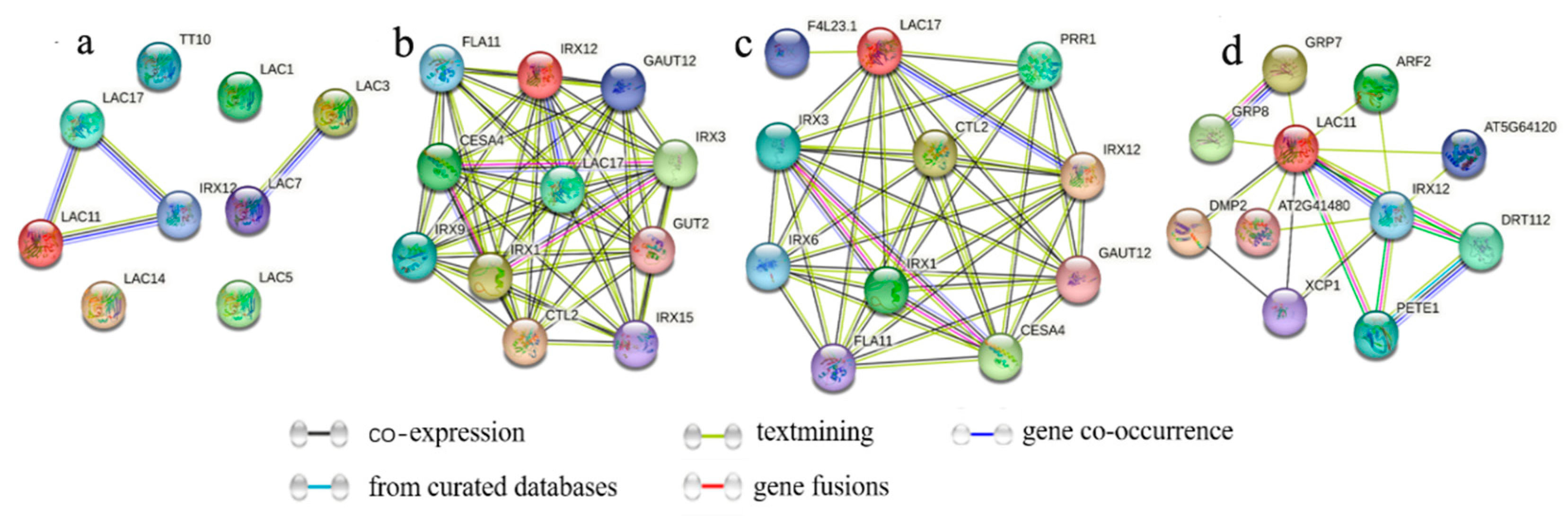 Horticulturae 09 00918 g007 Horticulturae 09 00918 g007