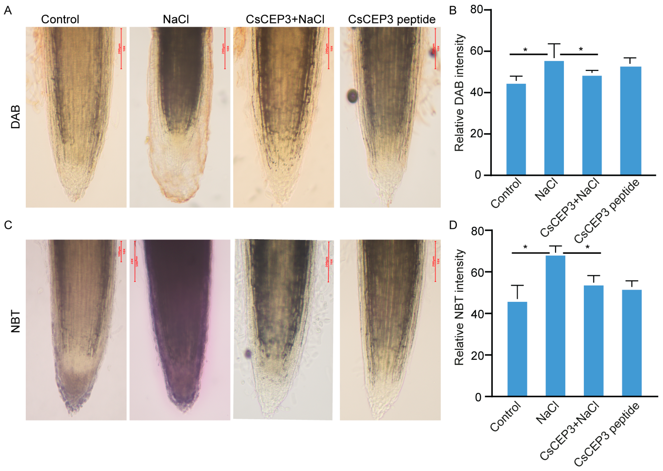Horticulturae 09 00921 g005