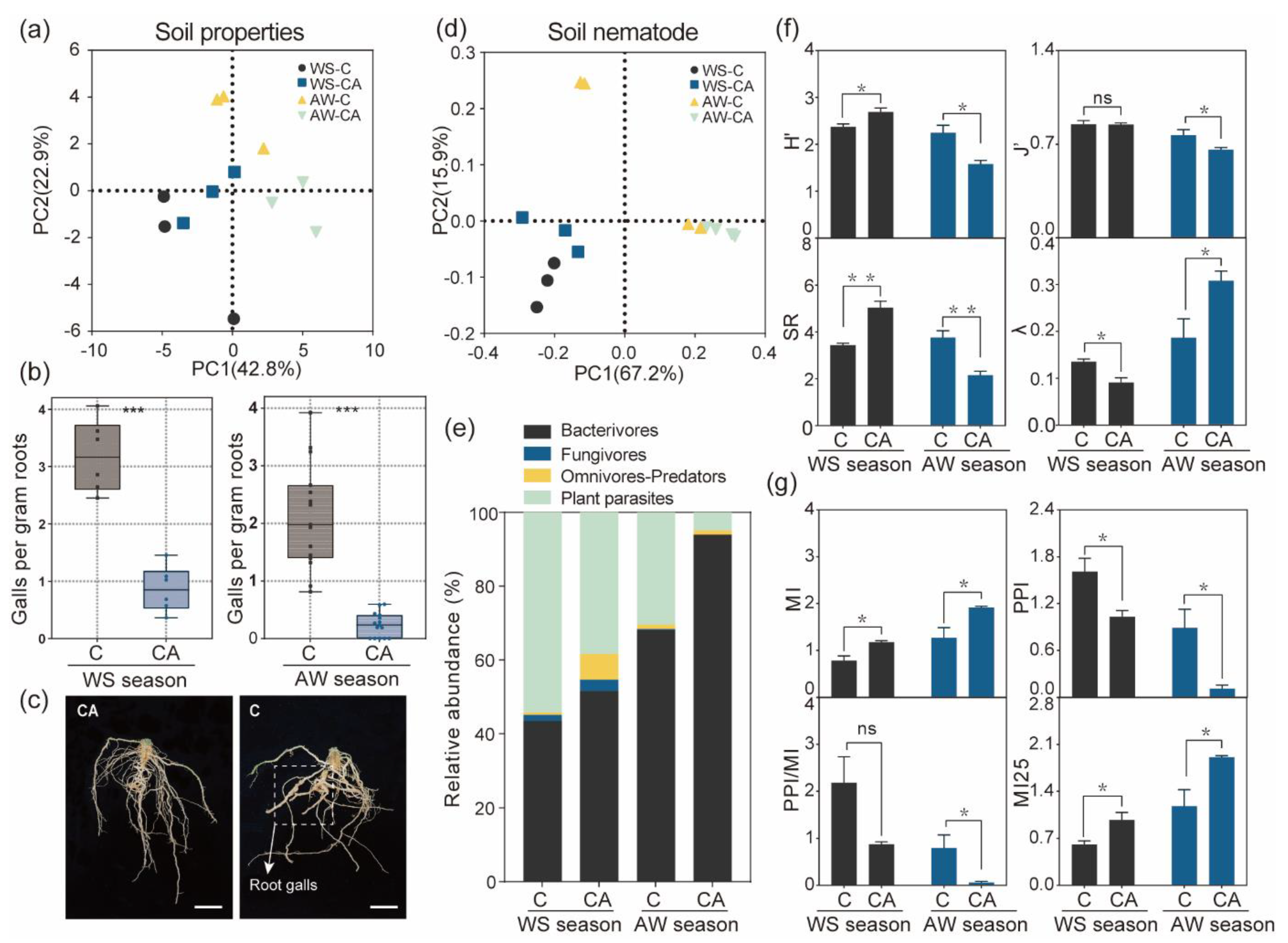 Horticulturae 09 00924 g001