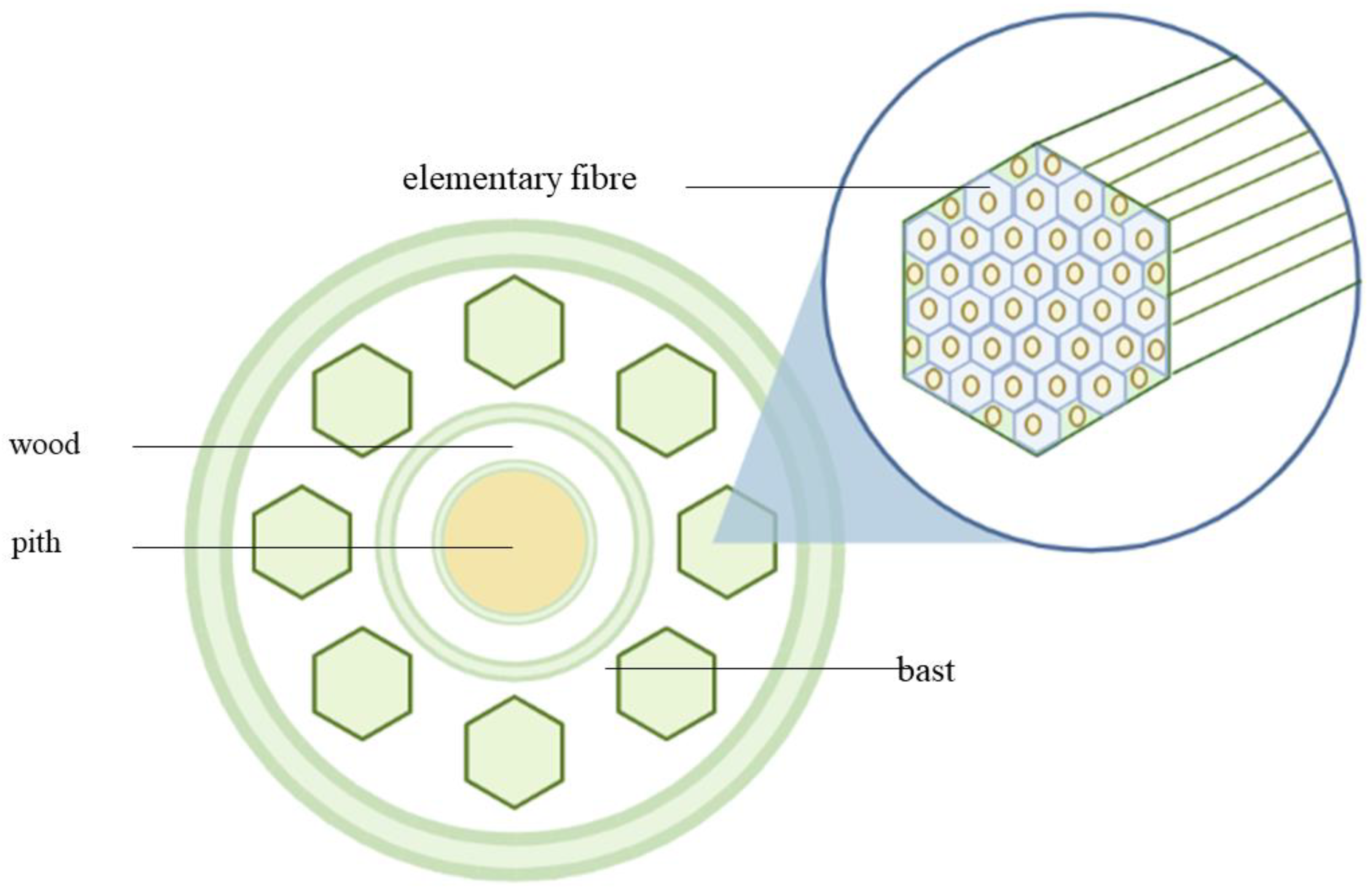 Horticulturae 09 00925 g002