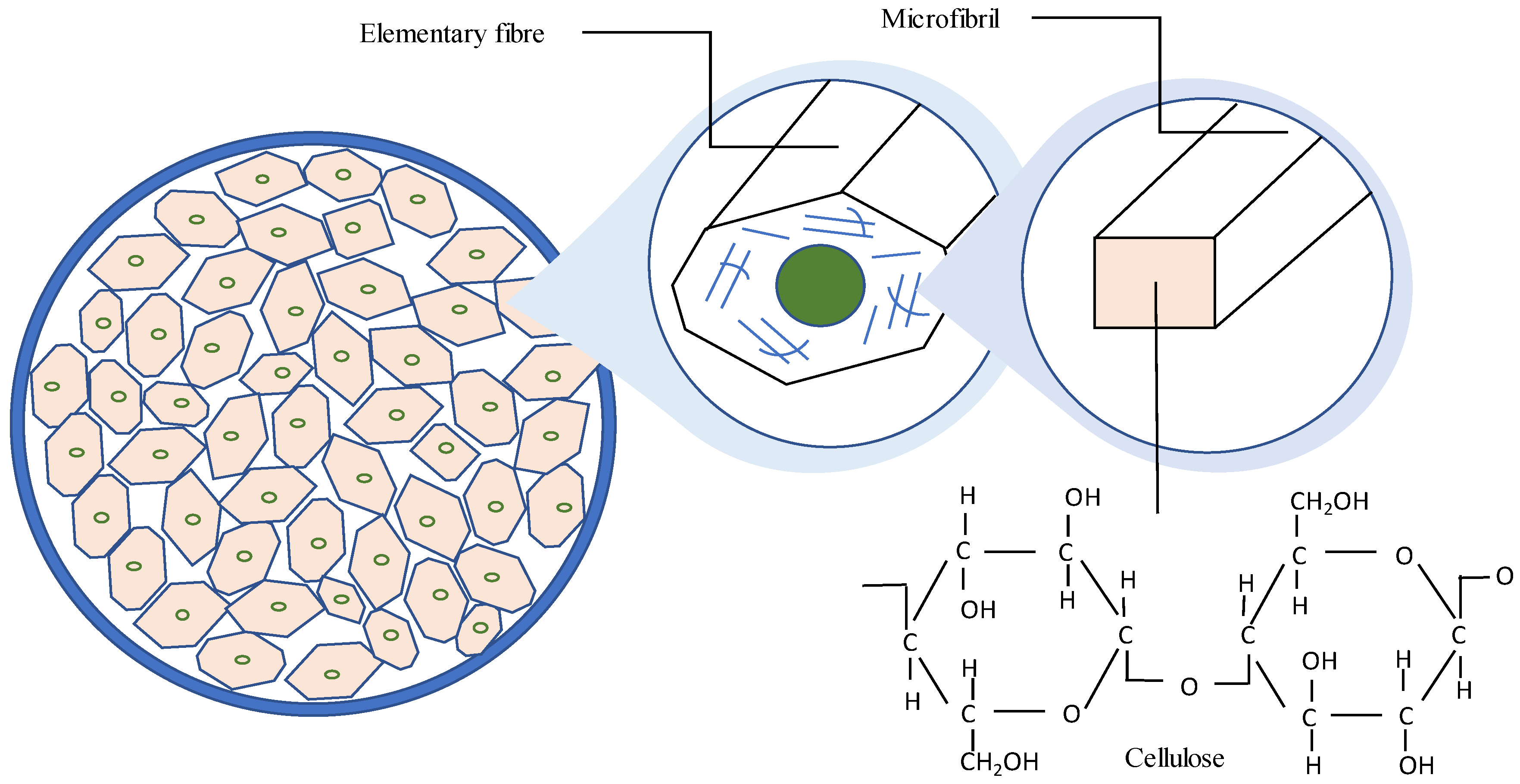 Horticulturae 09 00925 g003