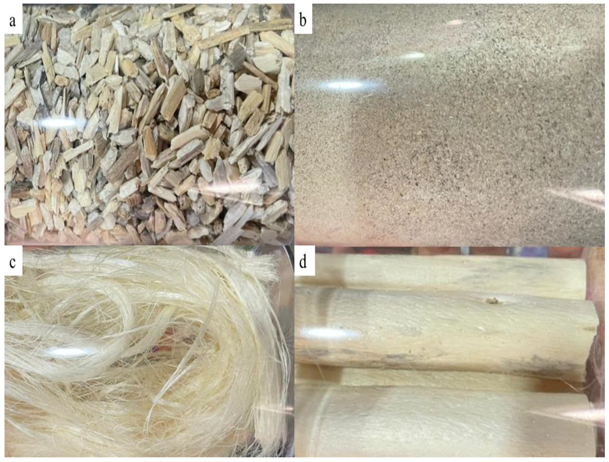 Horticulturae 09 00925 g004