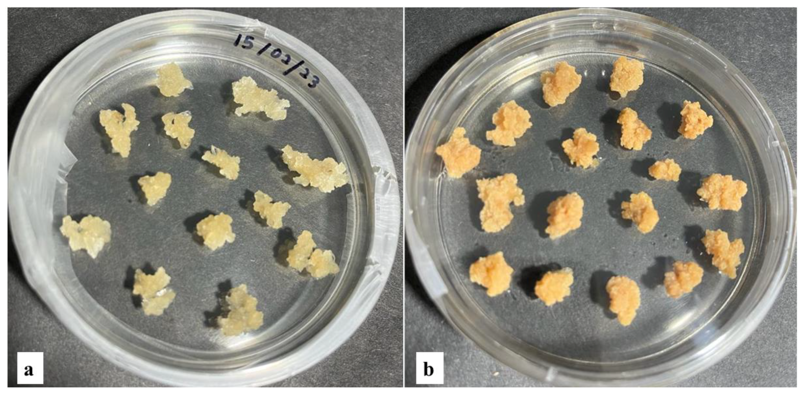 Horticulturae 09 00925 g008