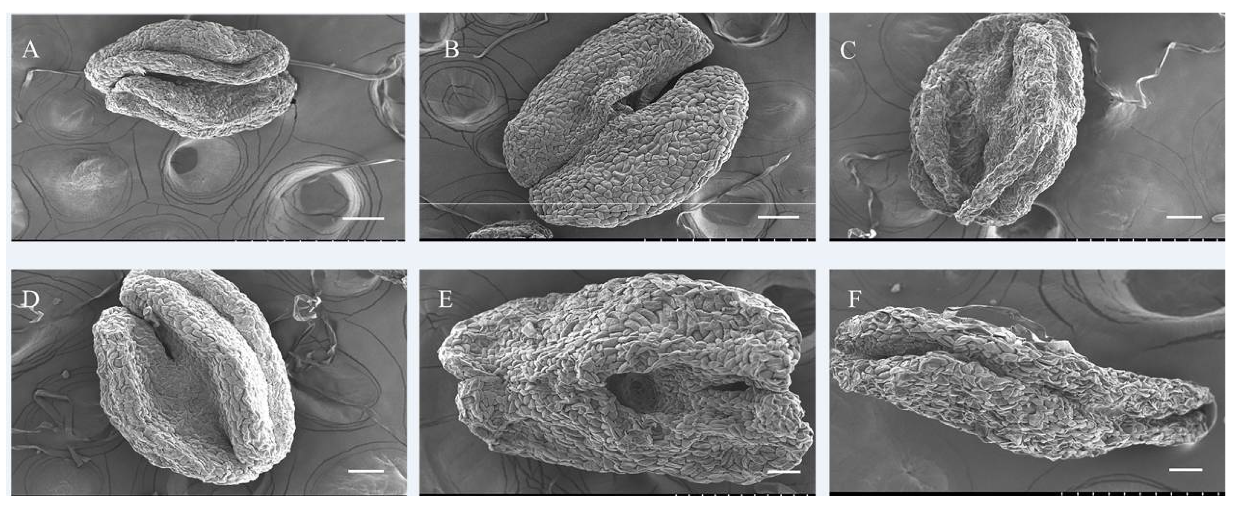 Horticulturae 09 00926 g005