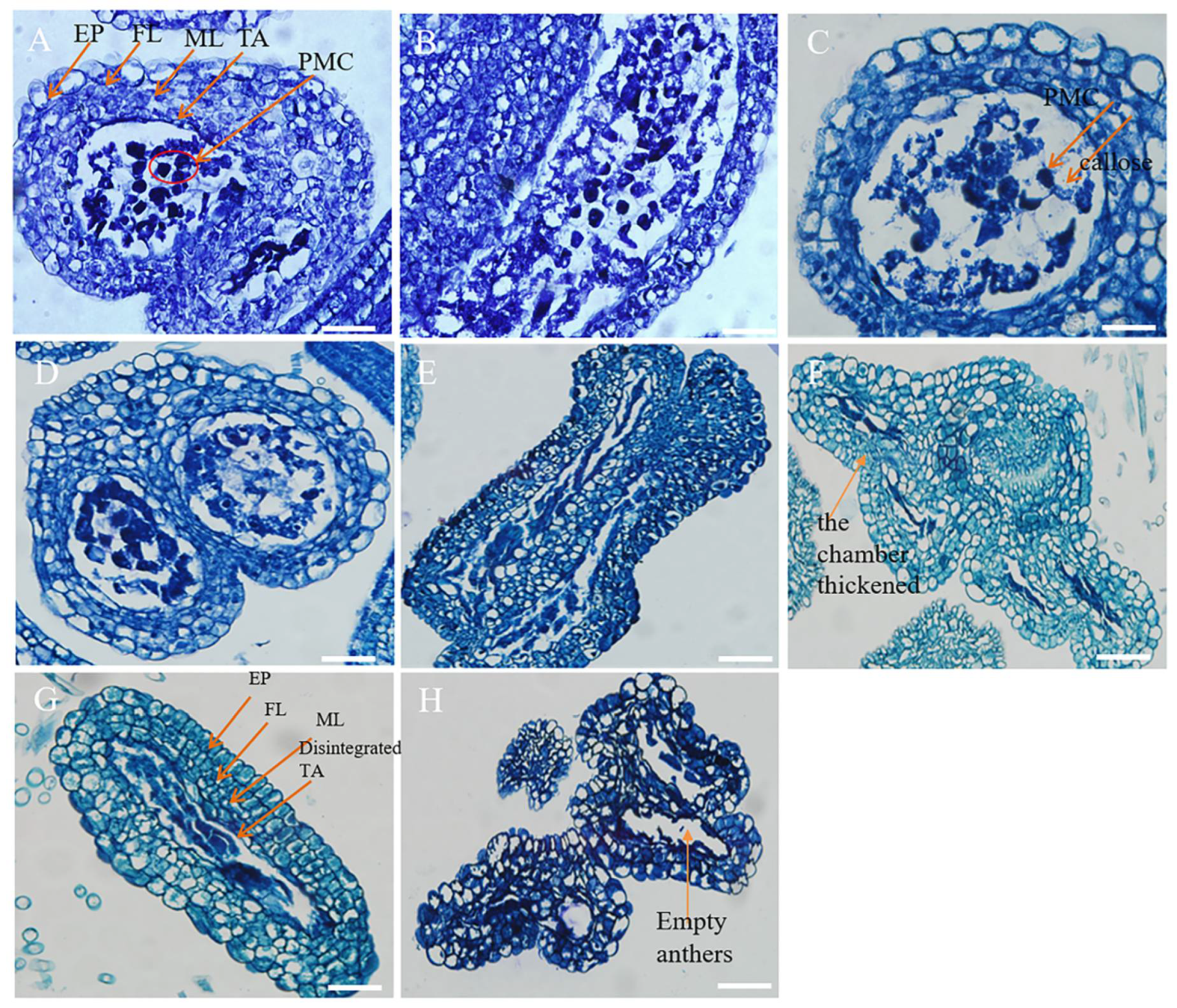 Horticulturae 09 00926 g006