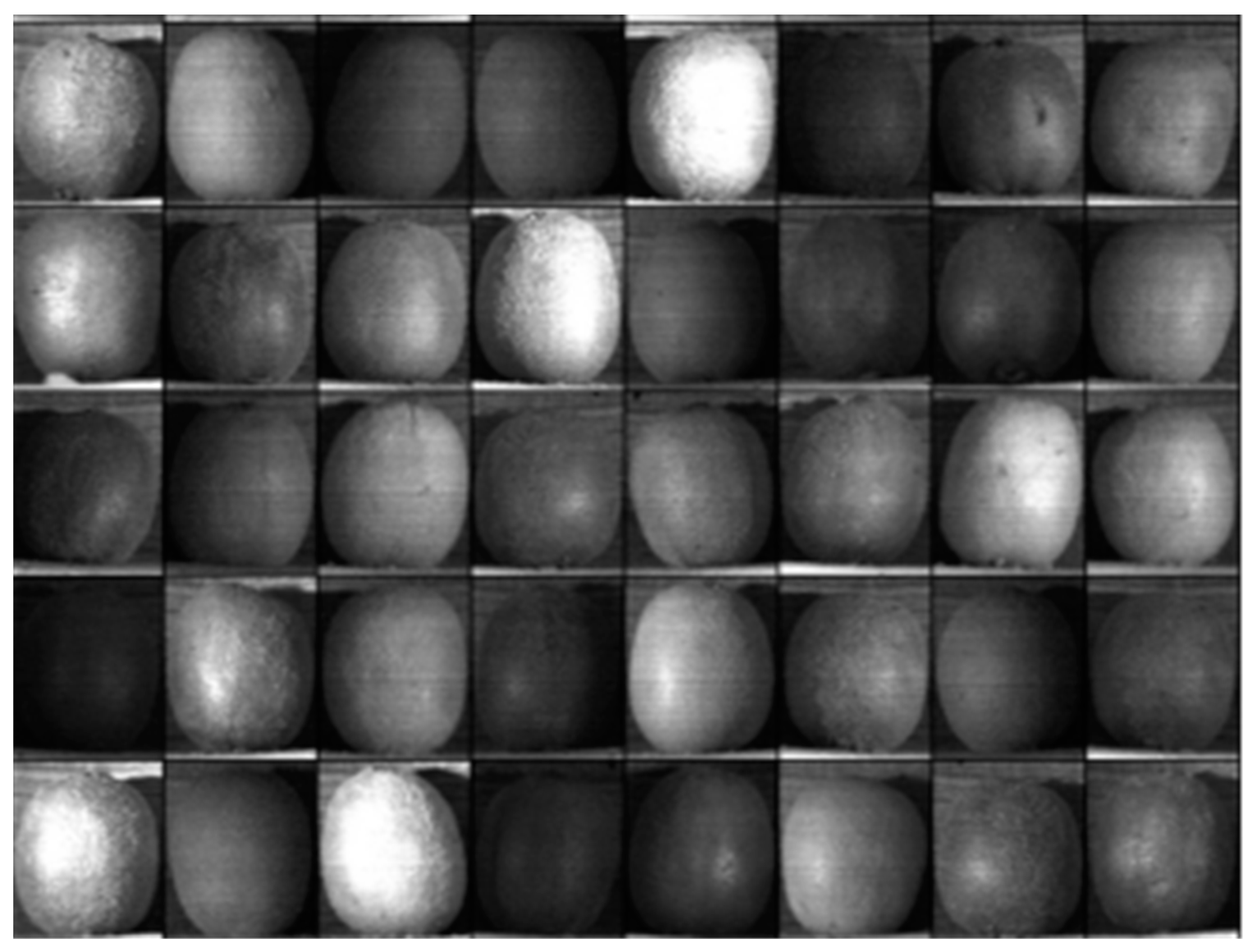 Horticulturae 09 00936 g003