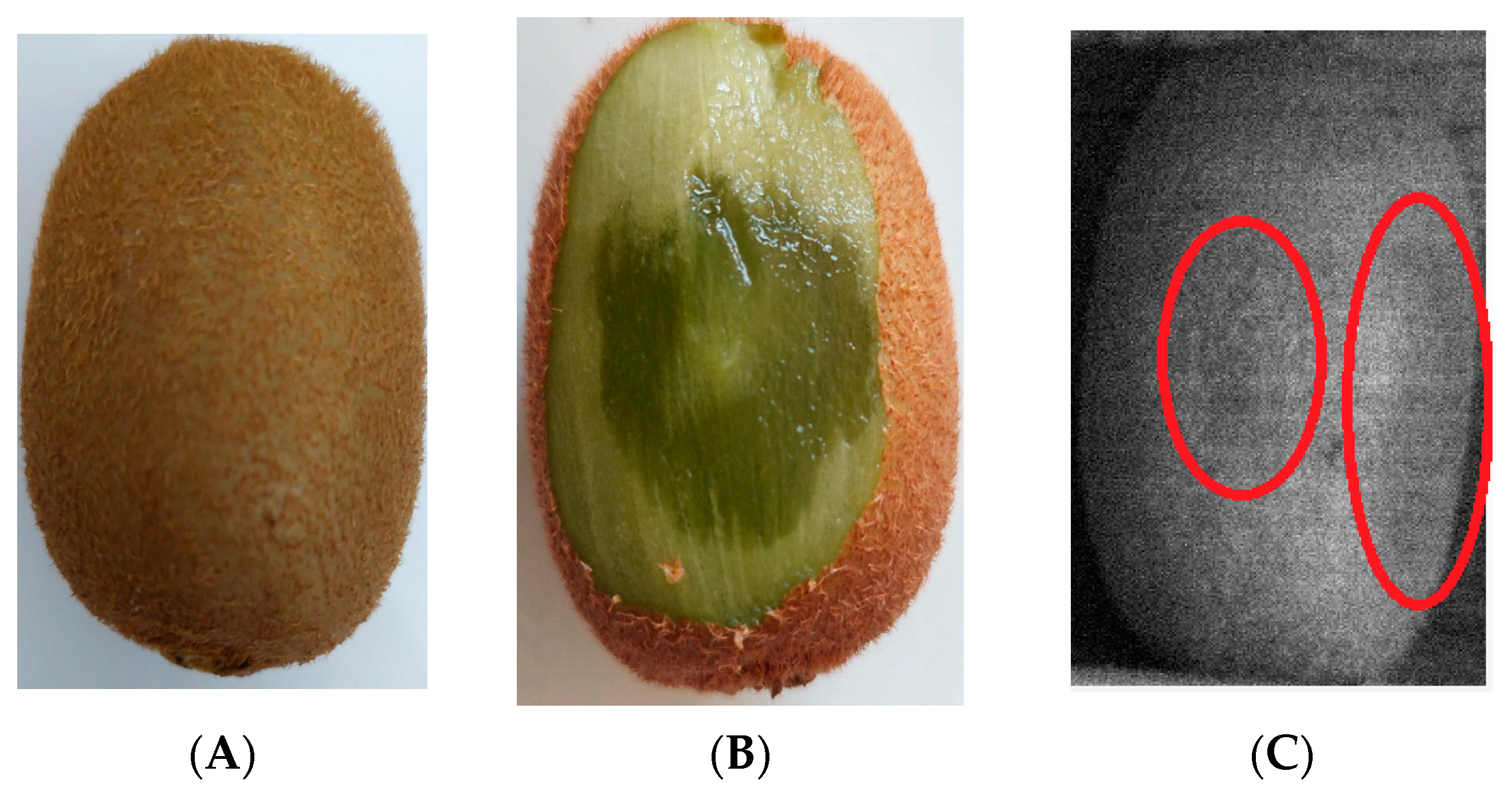 Horticulturae 09 00936 g006