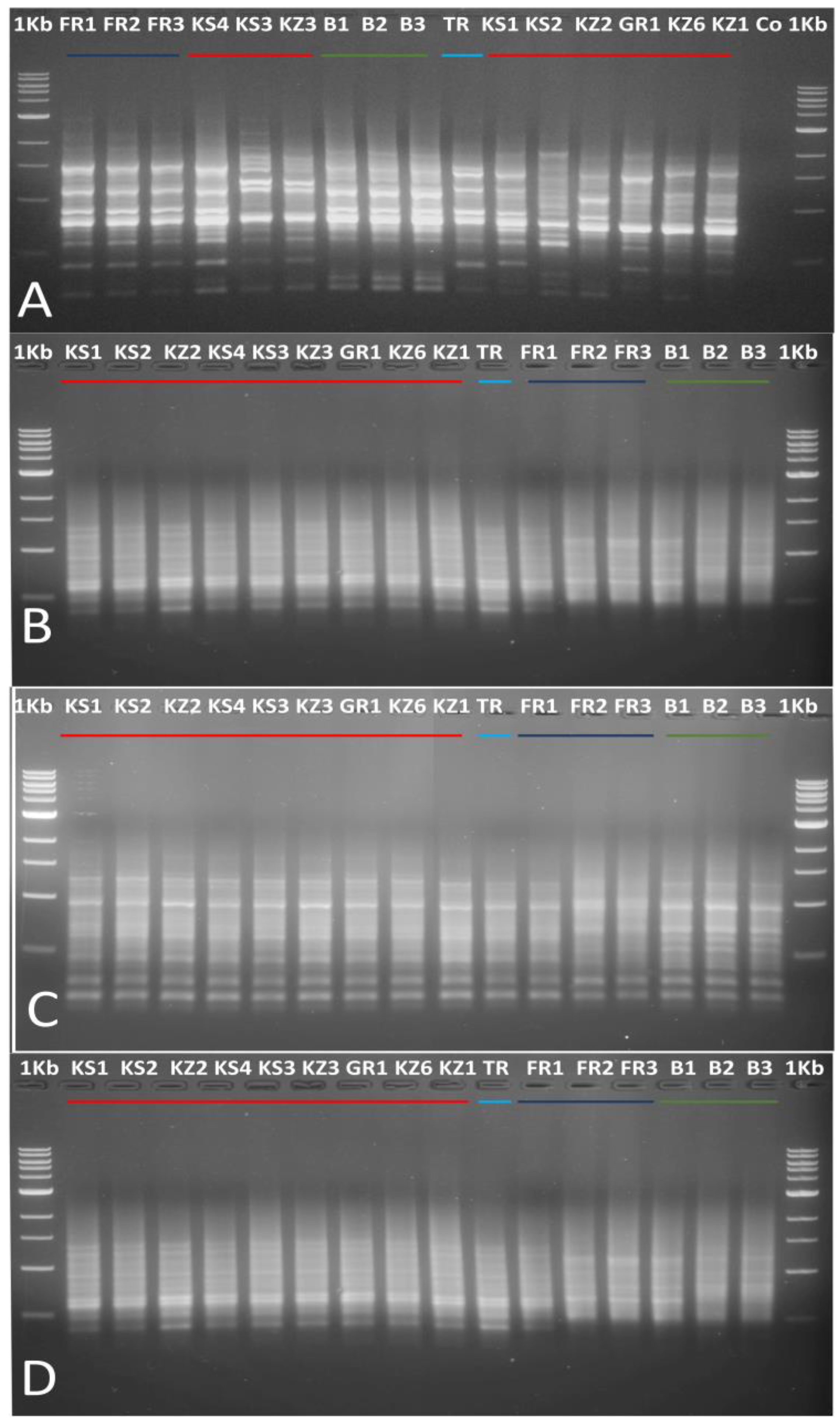 Horticulturae 09 00946 g002